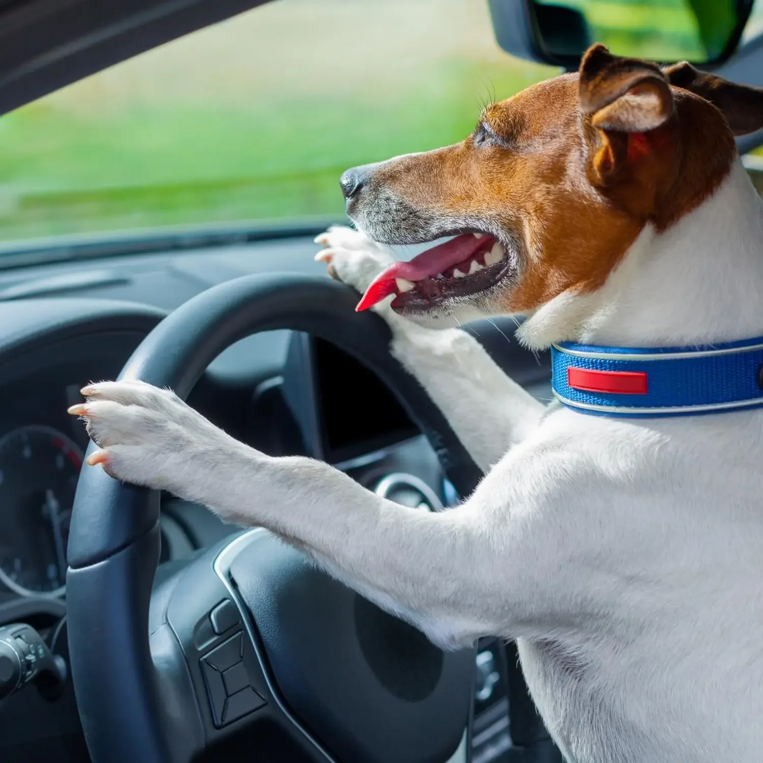 Boarding Shuttle Service (per mile)