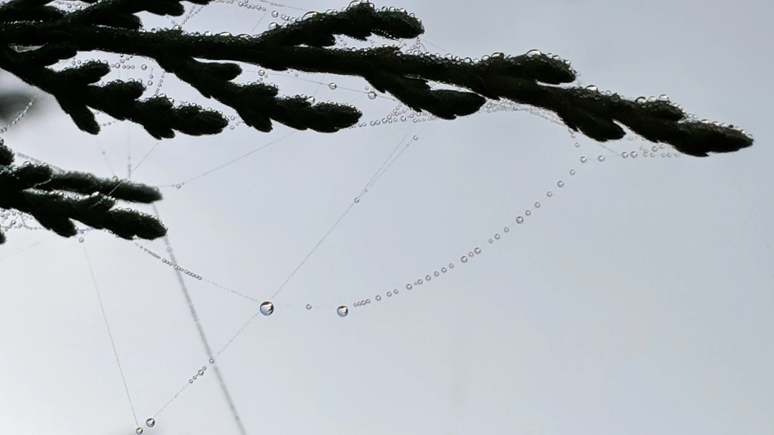 MVIMG_20181021_083557.jpg
