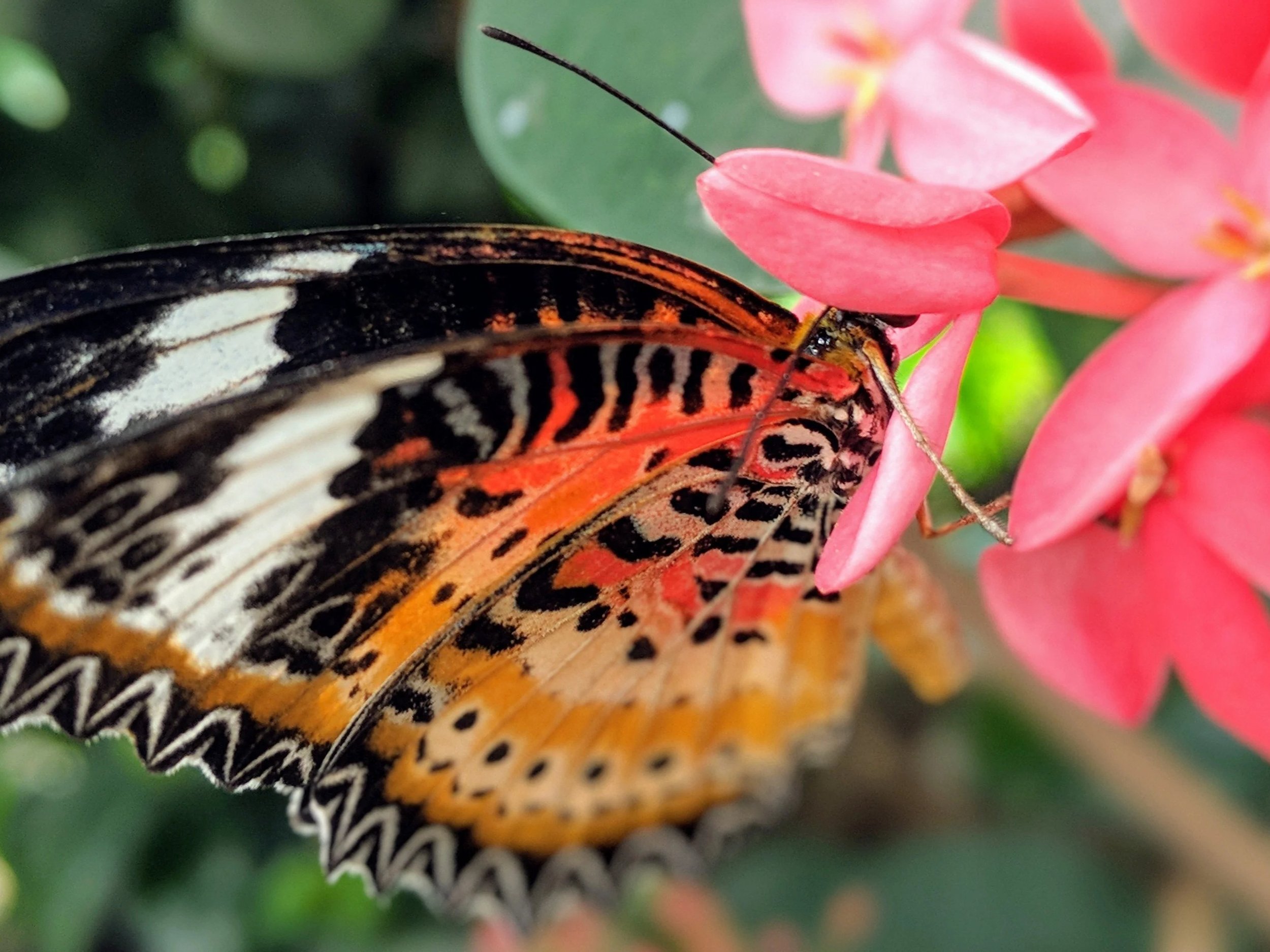 Senses // Photography