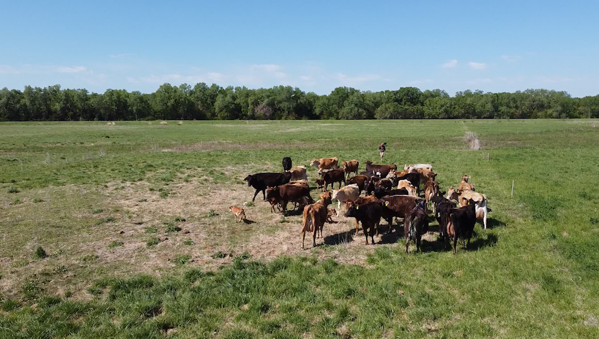 Screen Shot 2021-09-02 at 10.08.28 AM.png