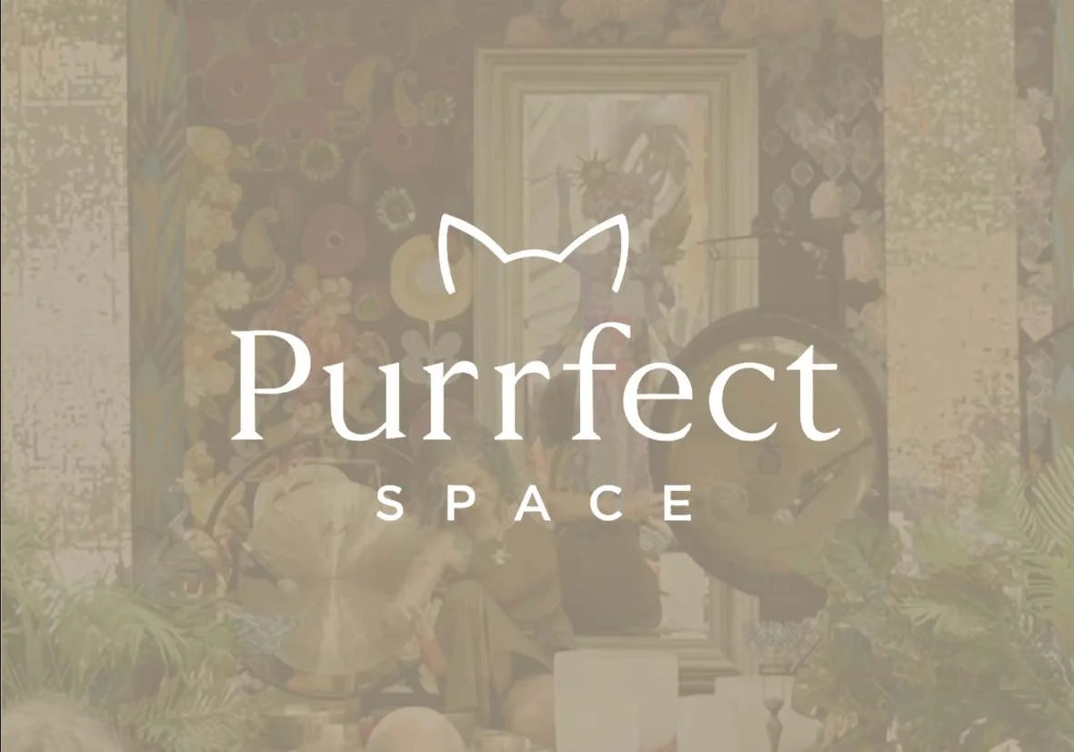 Sound Bath Meditation &amp; Mindful Cat Connection 