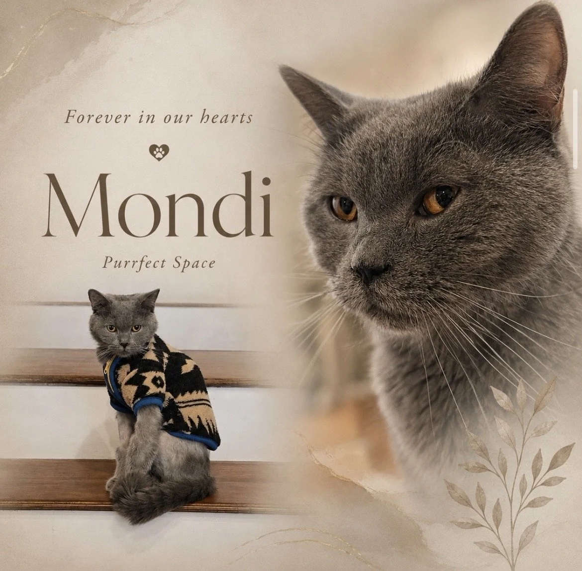 In memory of Mondi
