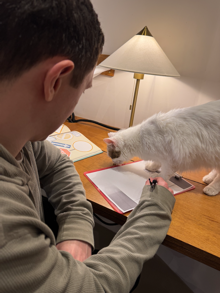 📝 Creative Writing with Cats: A love letter to yourself