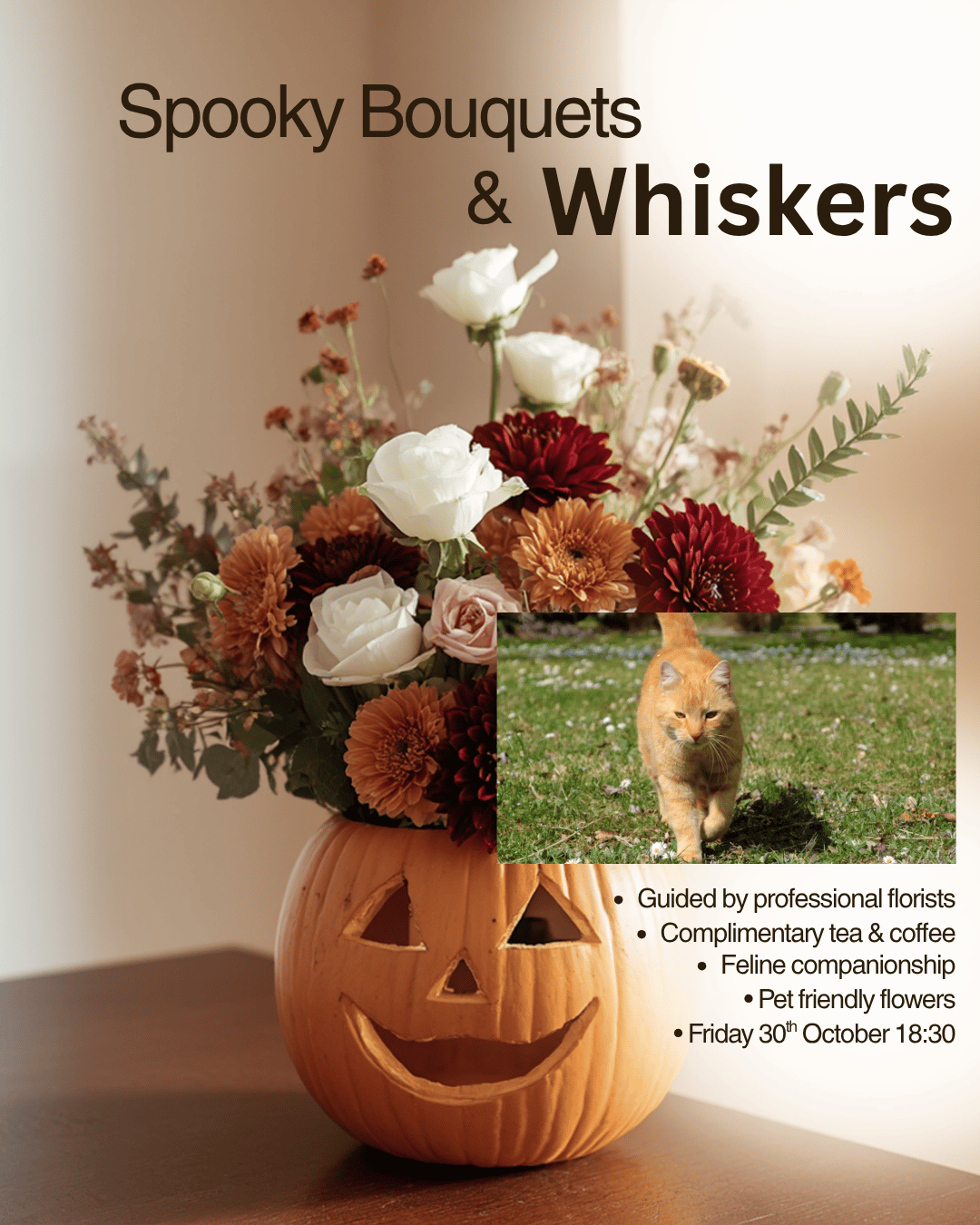 Spooky Bouquets &amp; Whiskers