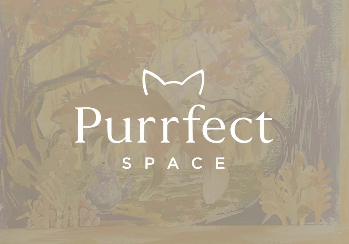 Drawn to Cats: A Cat-Inspired Art Workshop | Saturday 28 March, 2026 | 15:00 - 17:00