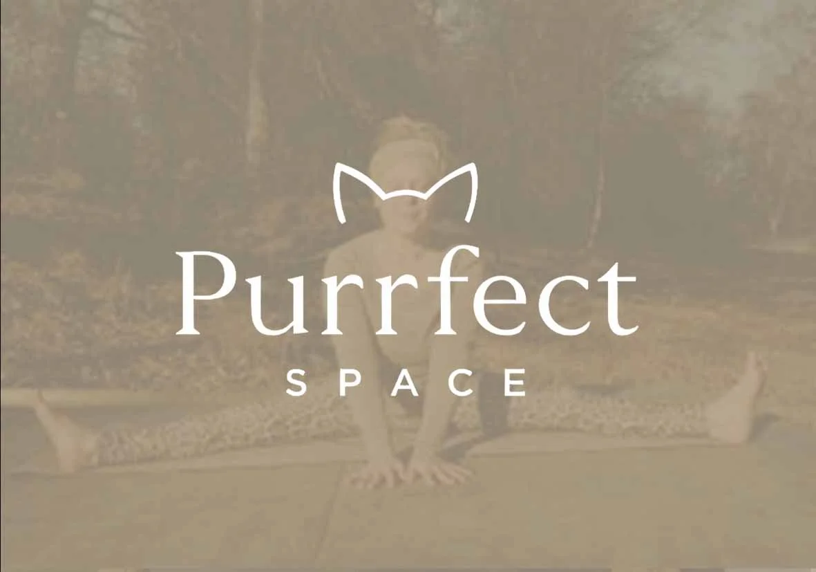 Cat Yoga (Yoga Nidra) - Saturday 7 March, 2026 | 09:30 - 10:30