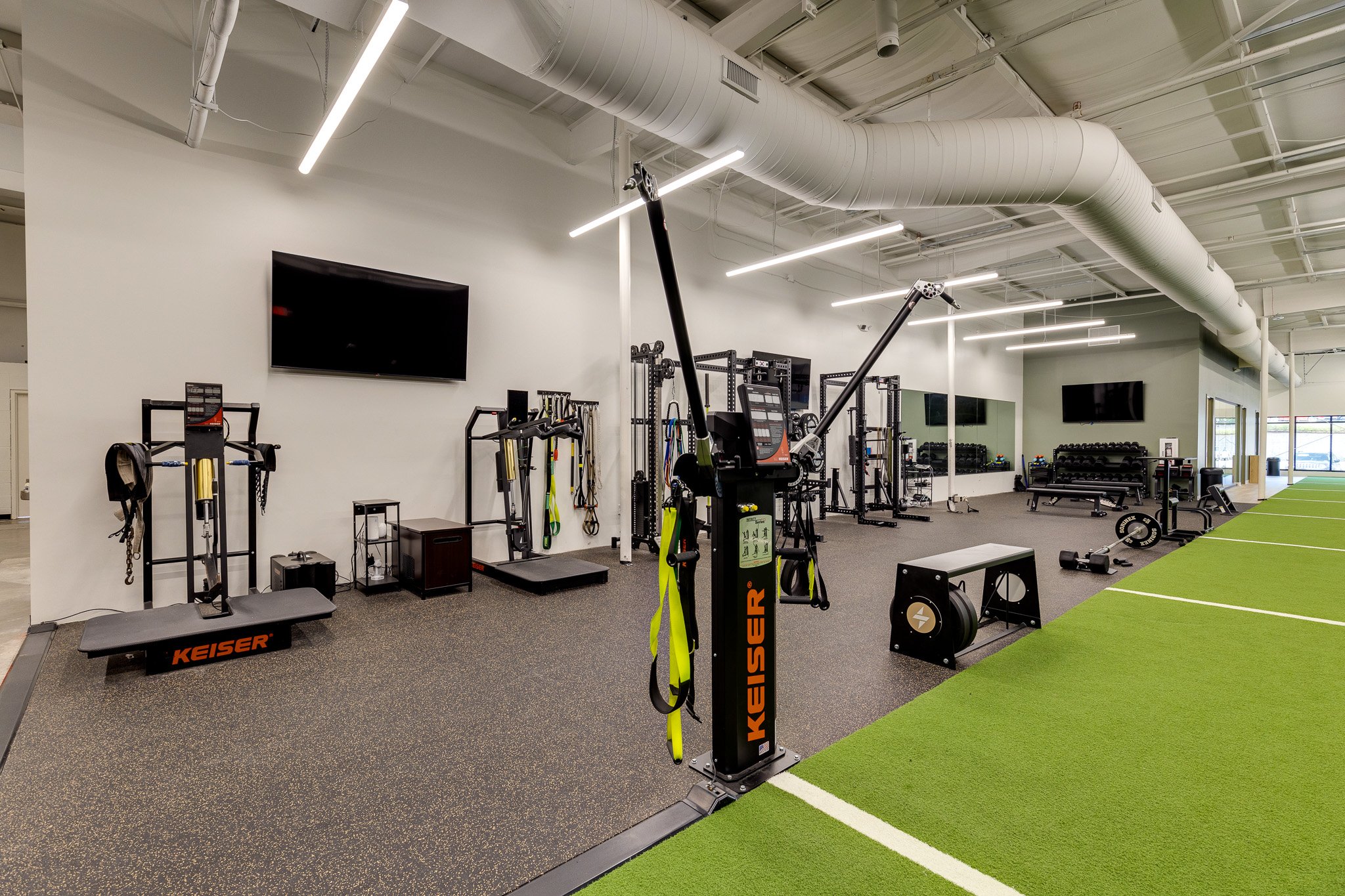 Copy of Fused-30.jpg