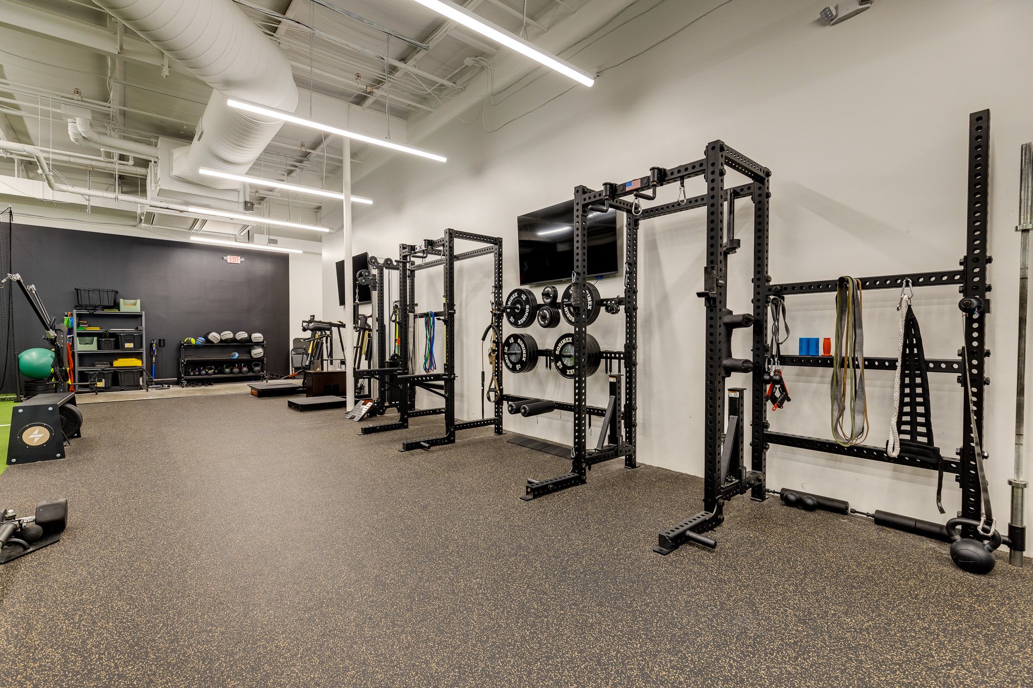 Copy of Fused-23.jpg