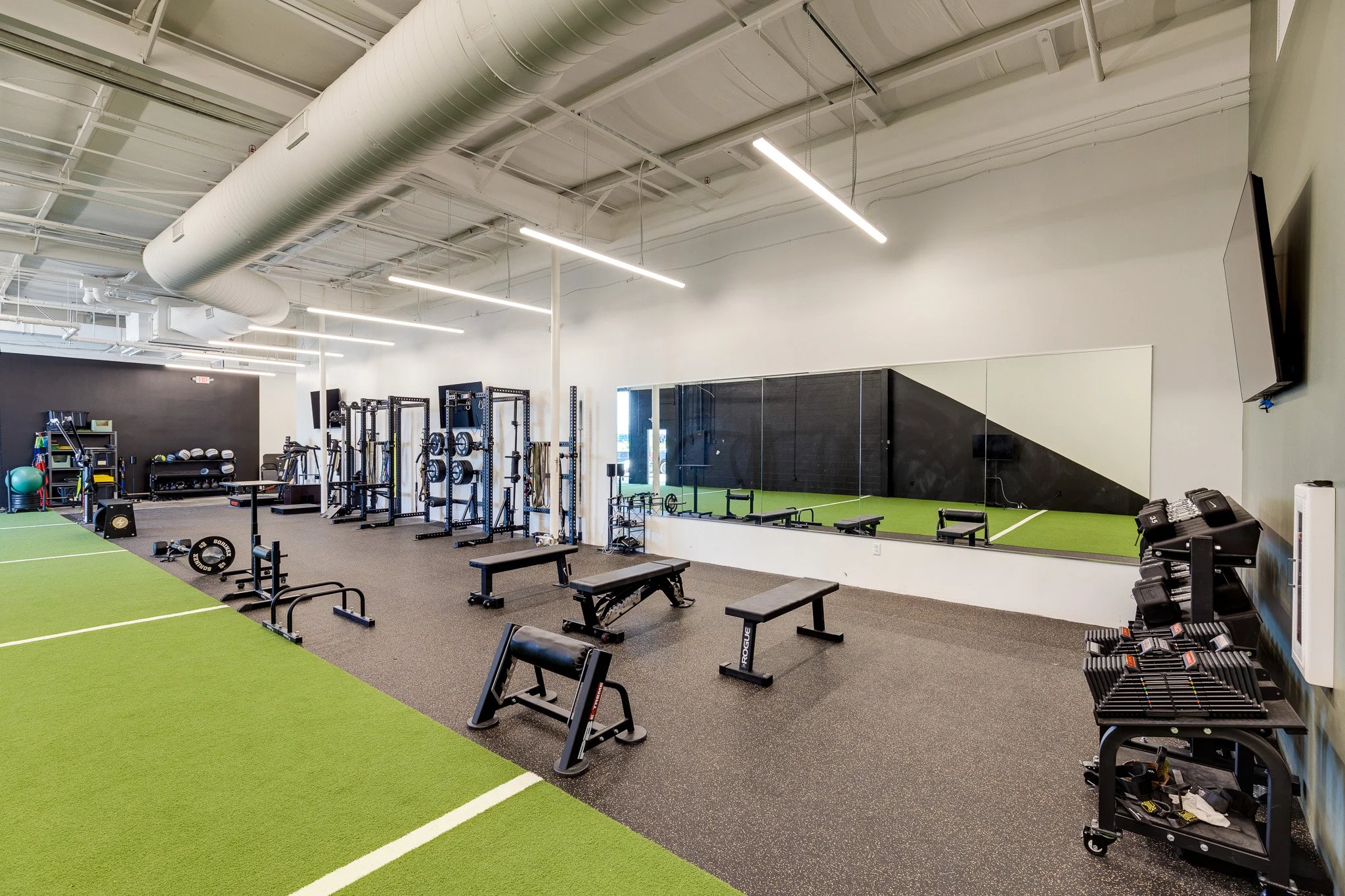 Copy of Fused-11.jpg