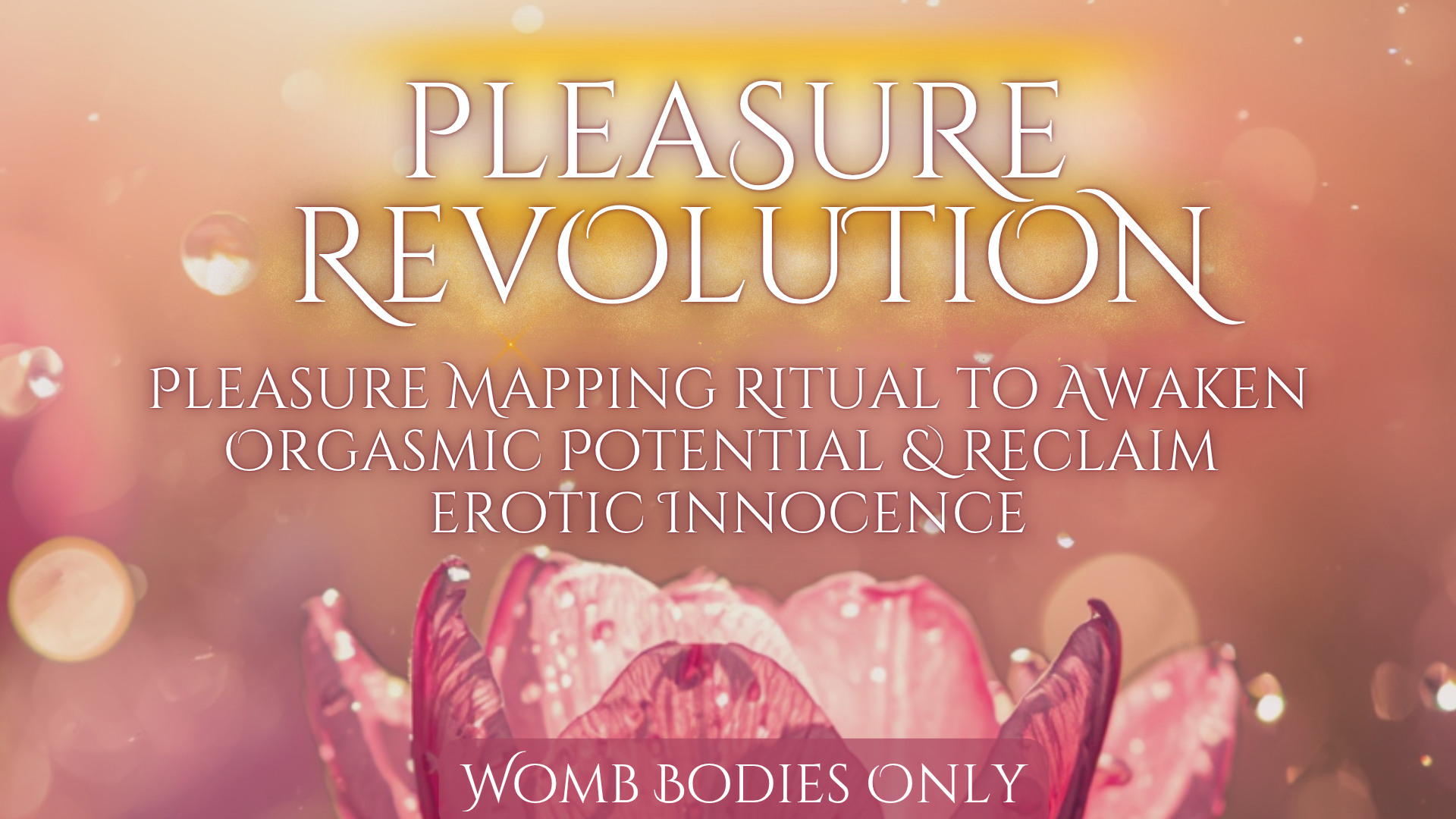 PleasureBanner.png