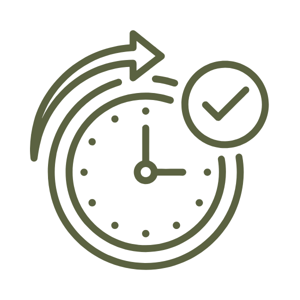 3. Efficient, professional execution