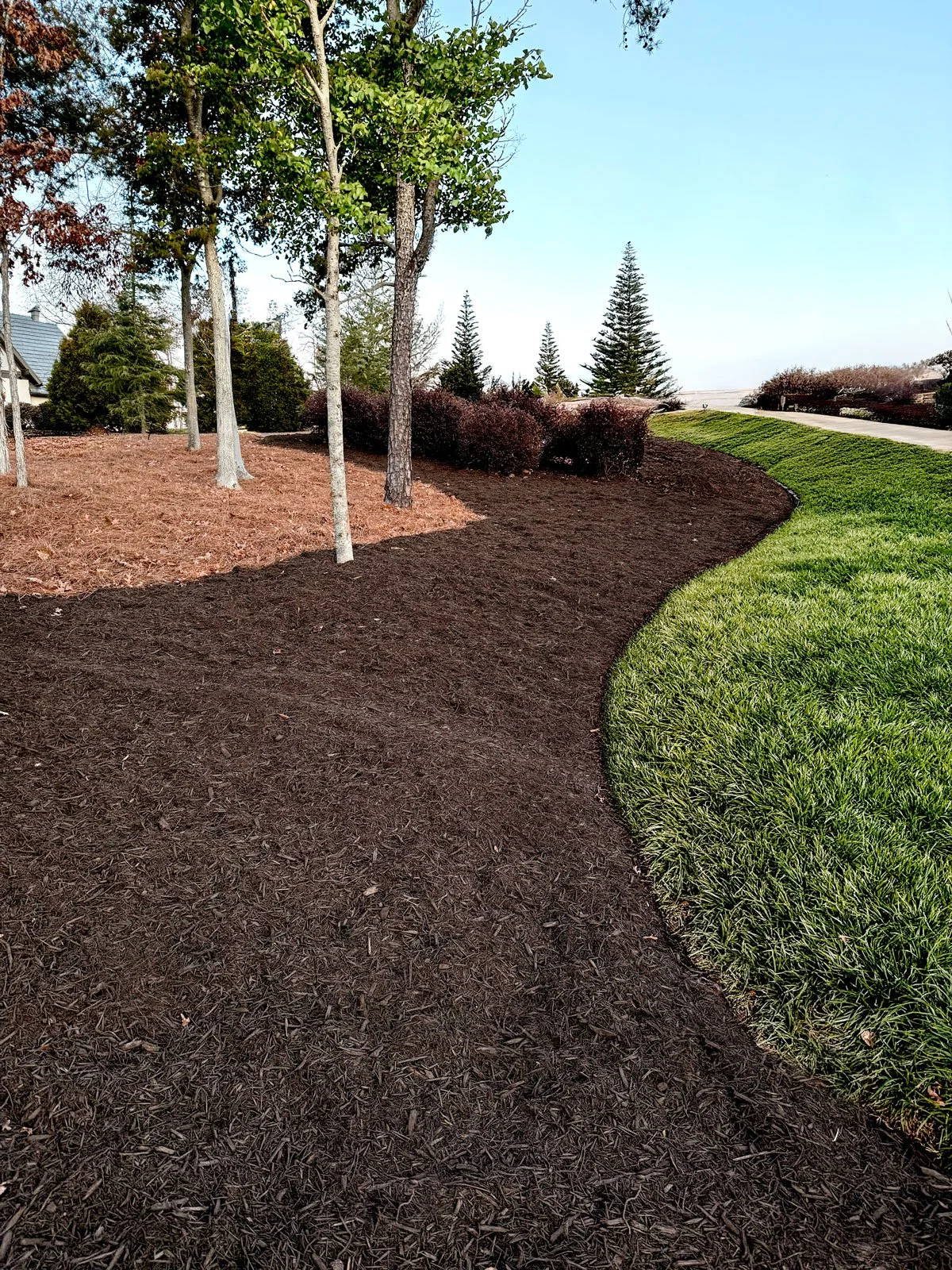 landscaper spreading and installing mulch