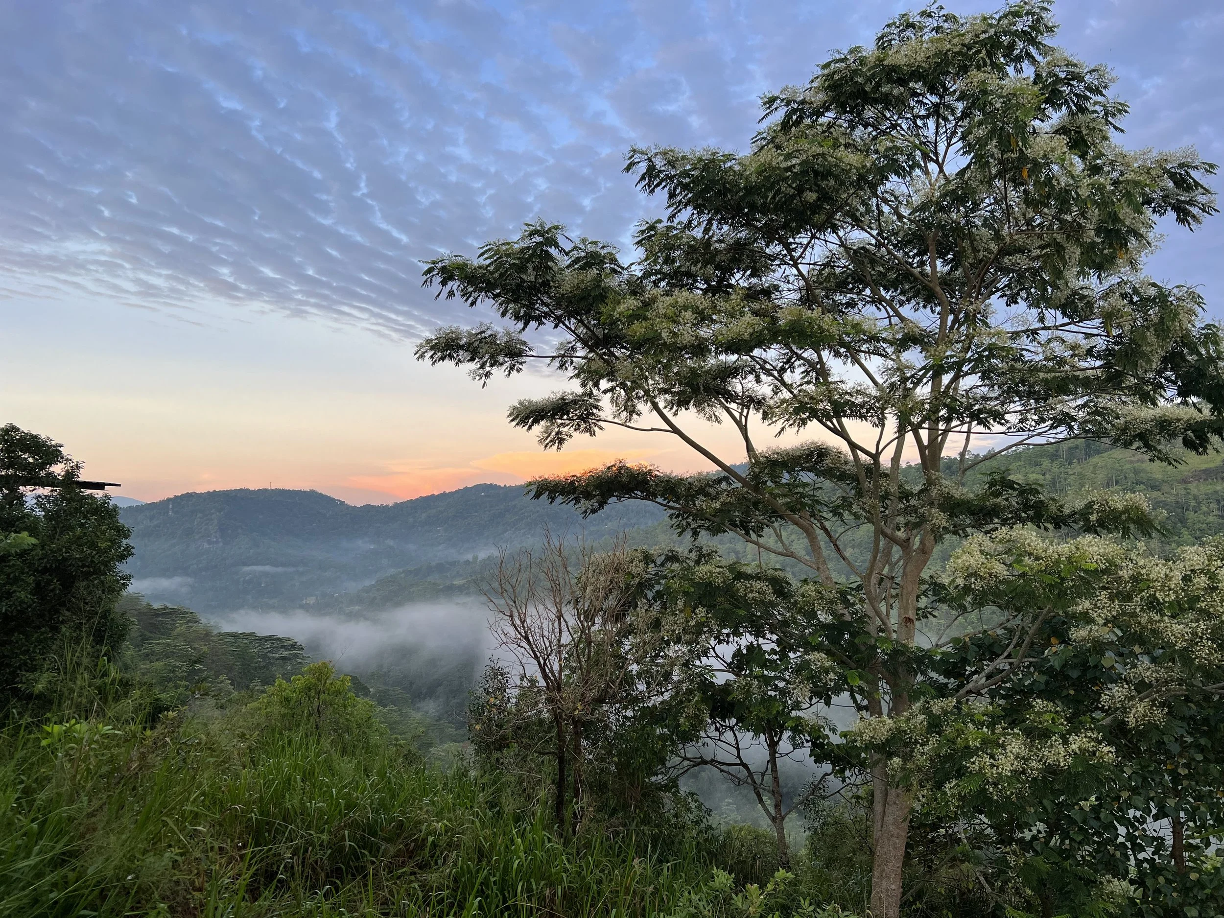 Knuckles Mountain Range, Sri Lanka
