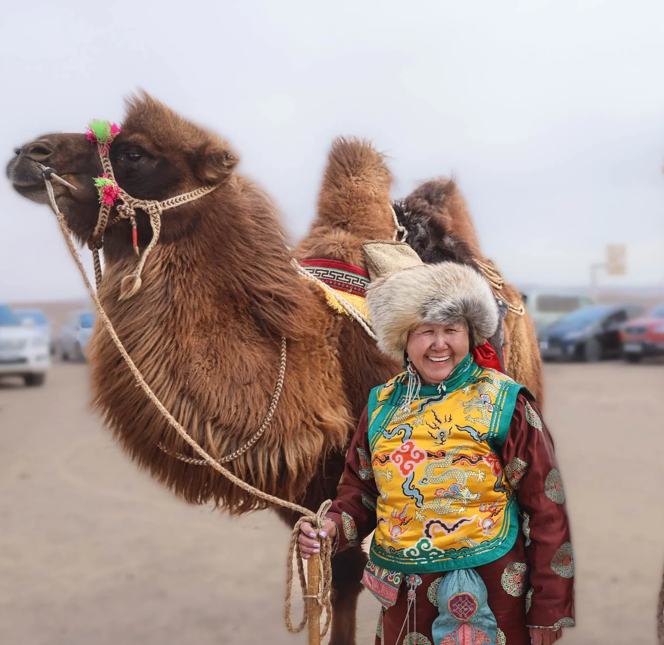Gobi Desert, Mongolia