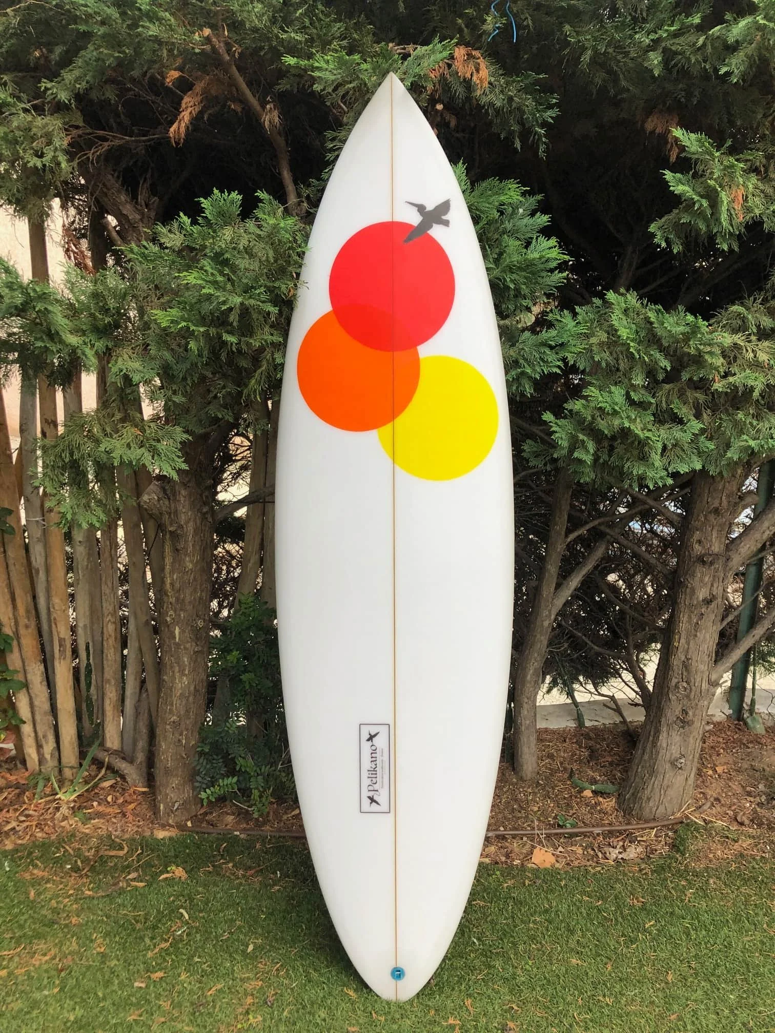 Shortboard_pelikano_6 3-1.jpg