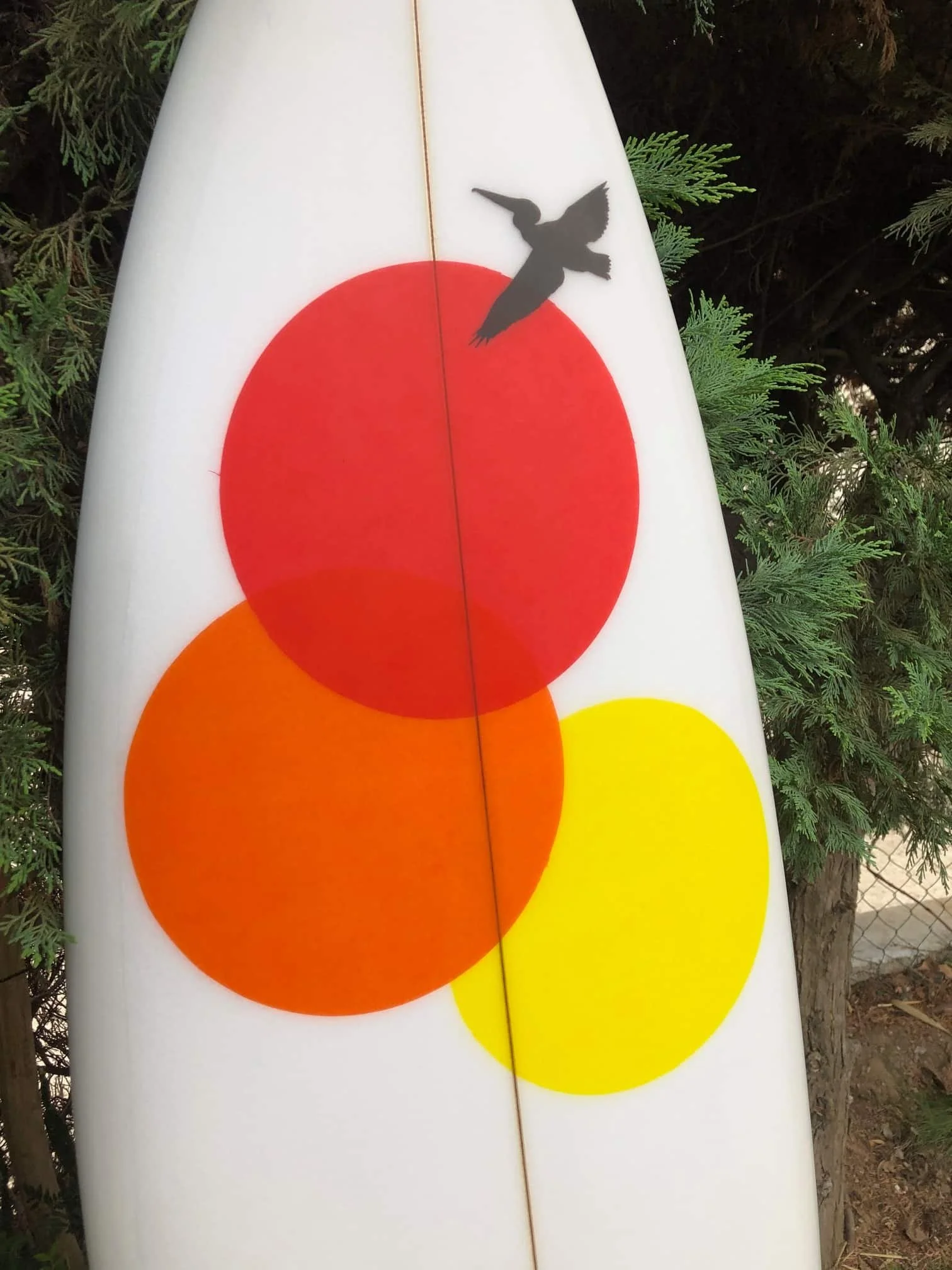 Shortboard_pelikano_6 3-9.jpg