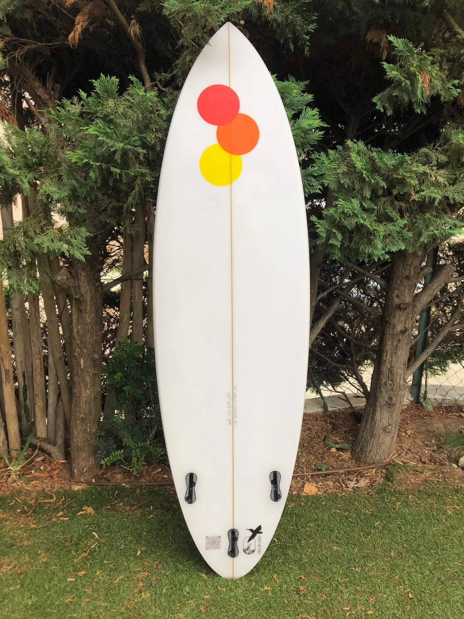 Shortboard_pelikano_6 3-8.jpg