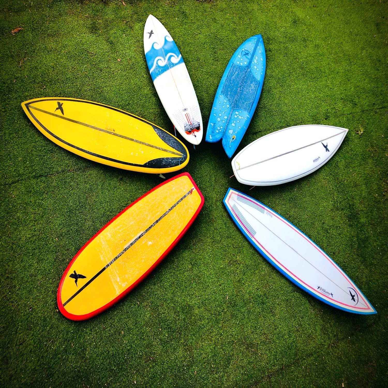 quiver pelikano