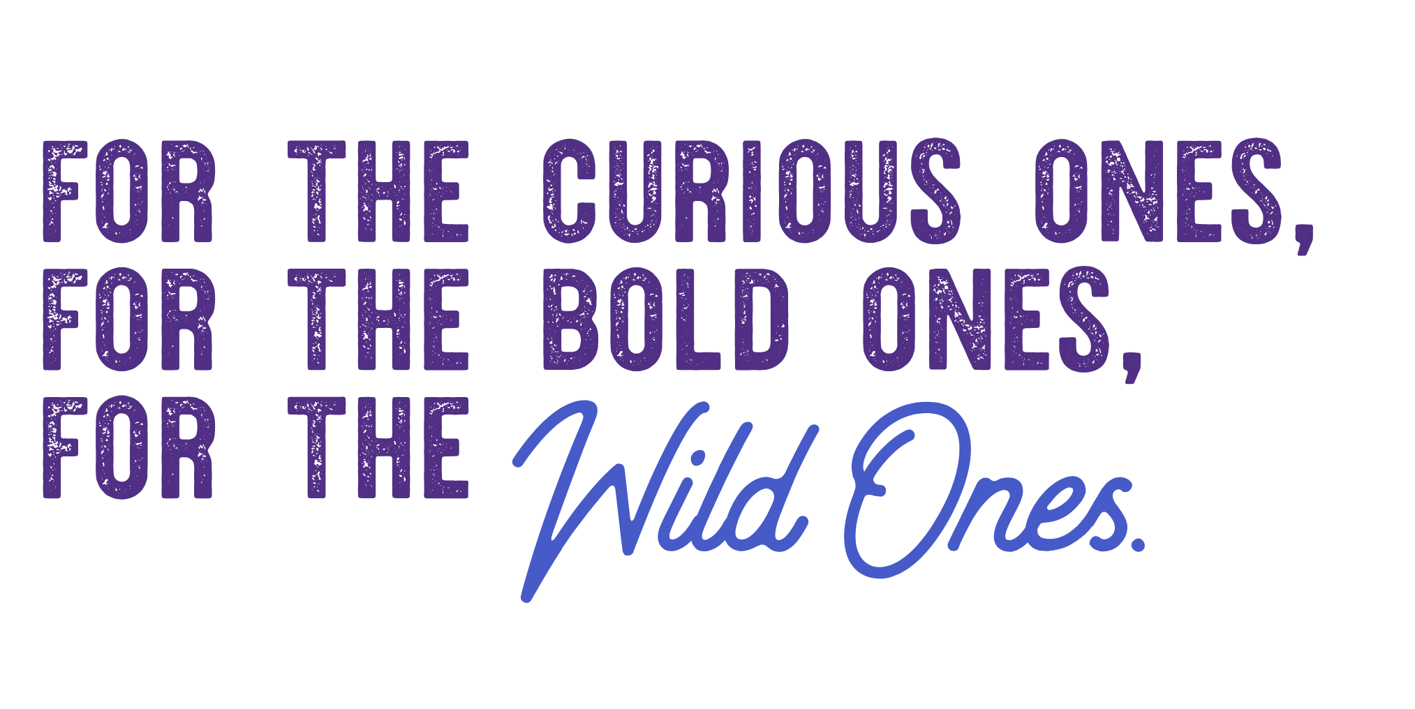 Text saying the Wildones Worldschool Adventure Hub Core Values and Target Audience