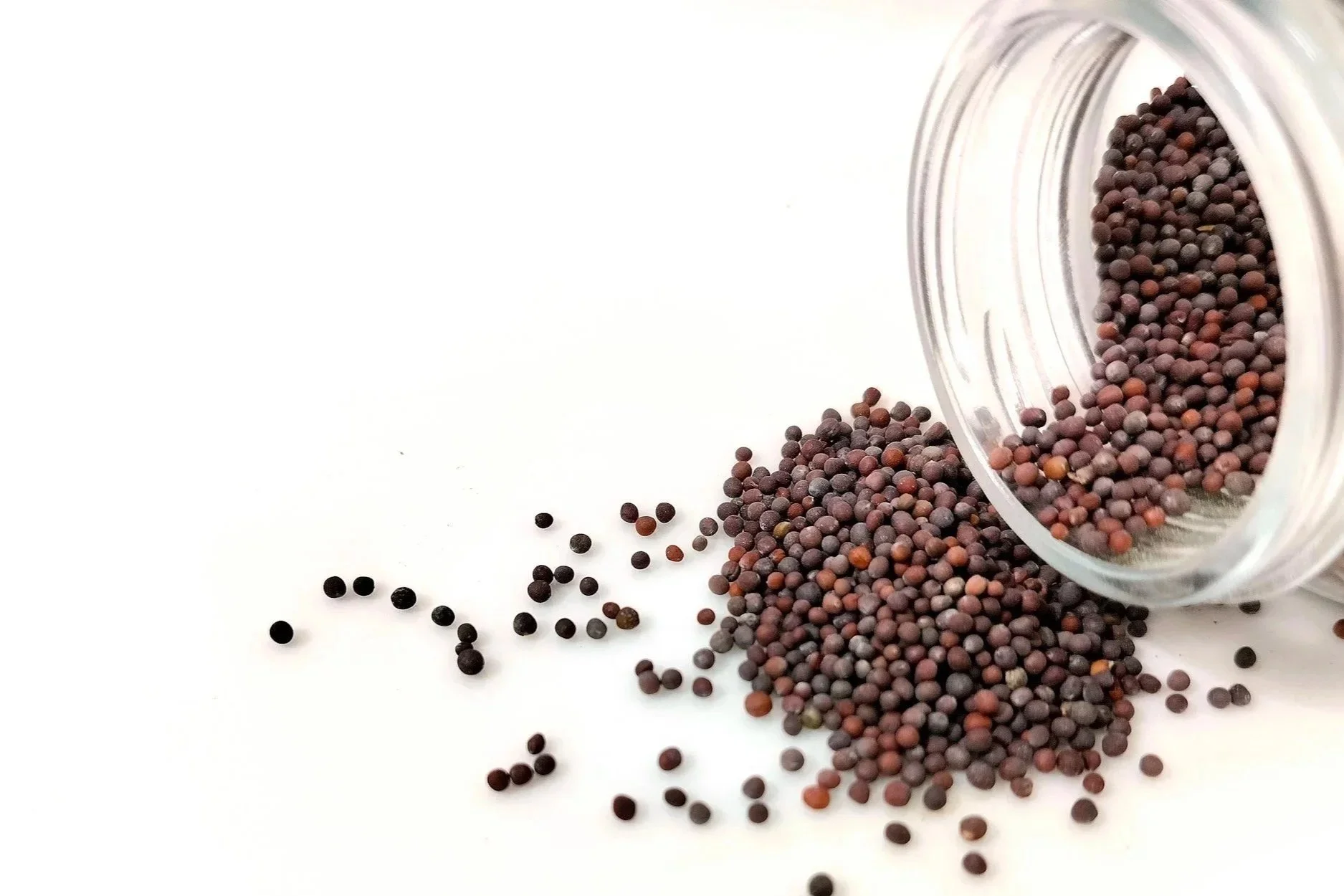 A glass jar tipped over with small, round seeds spilling onto a white surface.
