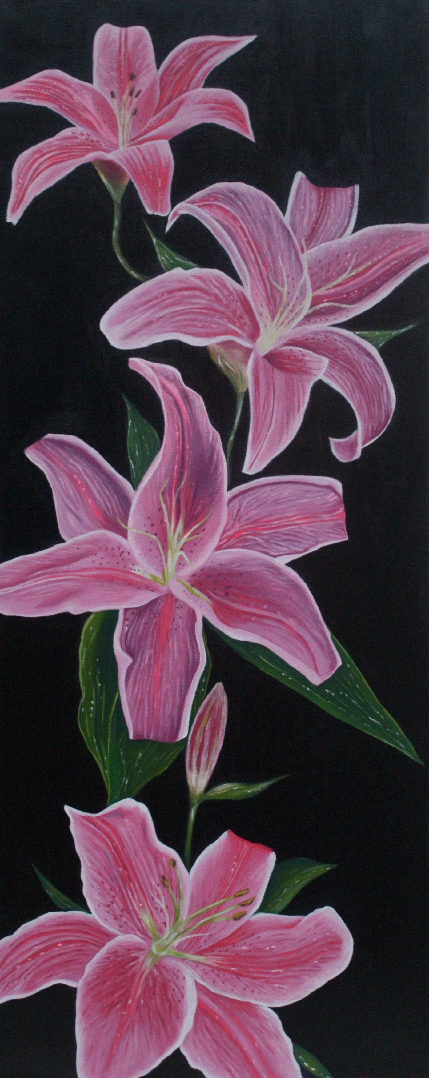 The Pink Lillies