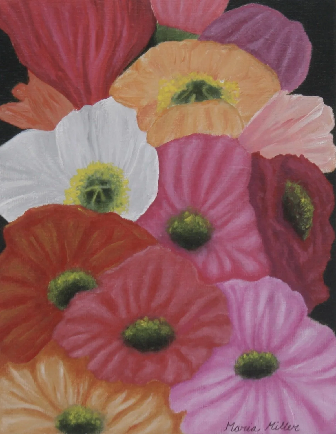 Pink Poppies