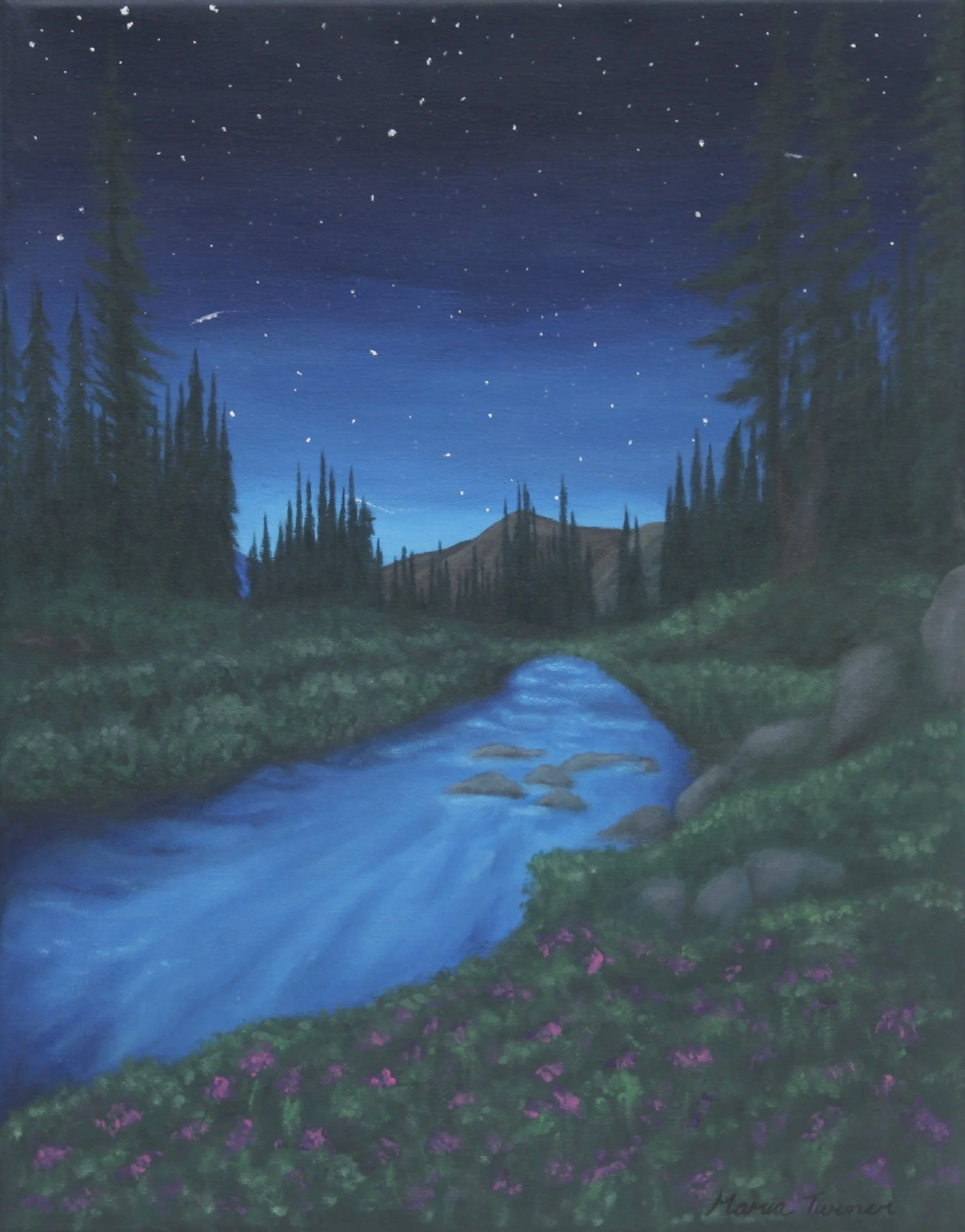 A Distant Night