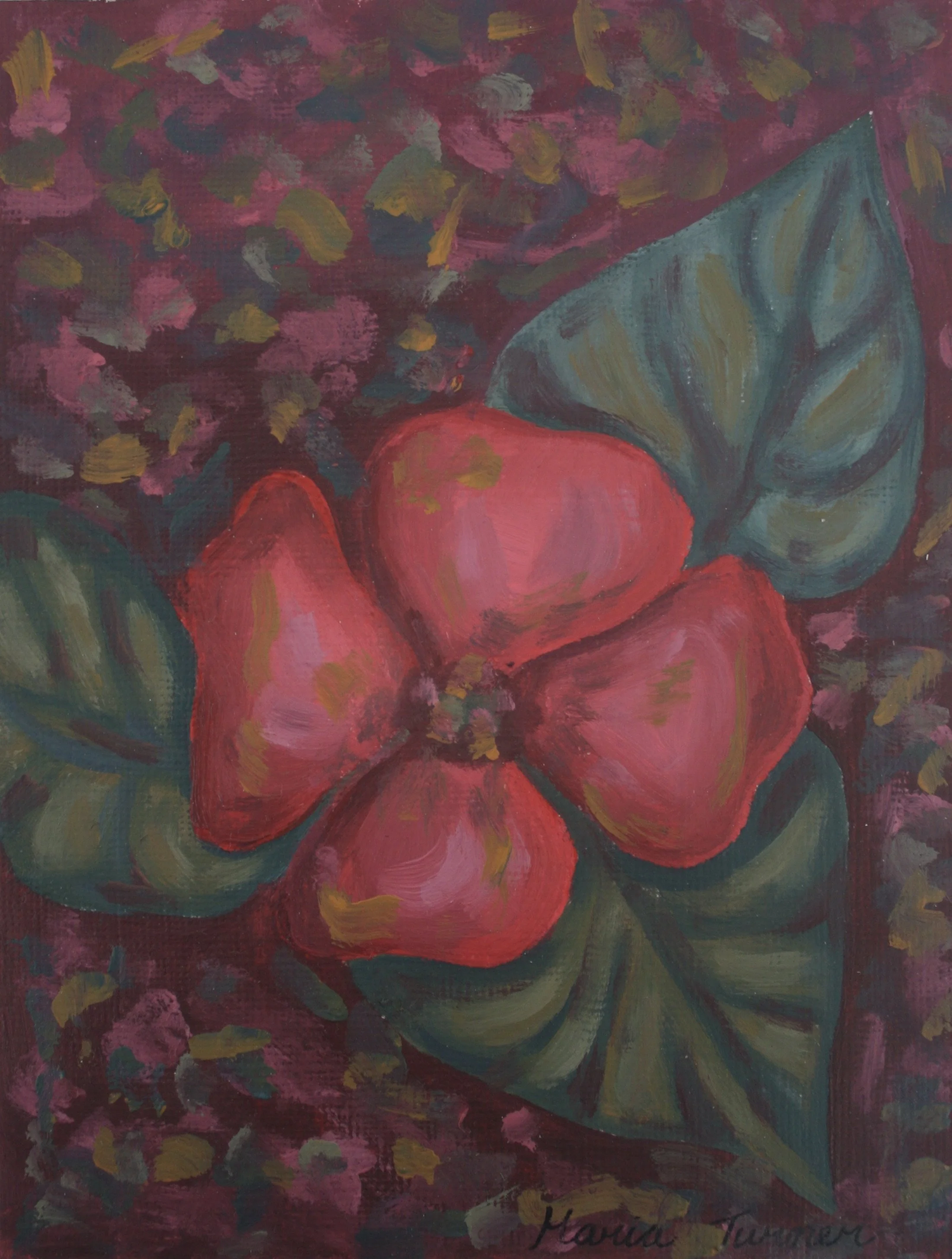 An Imaginative Bloom
