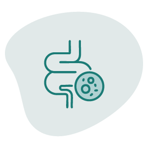 Illustration of a digestive system with a focus on the intestines and a representation of bacteria or microorganisms.