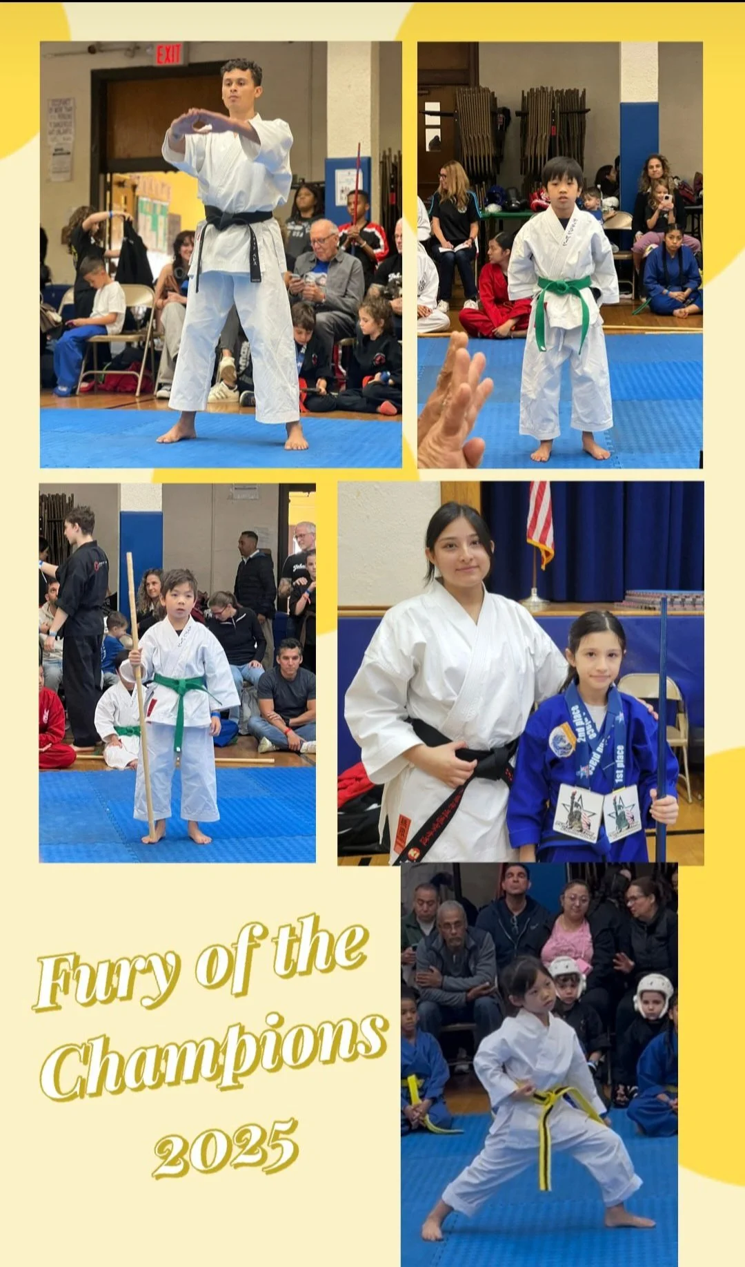 Fury of the Champions 2025