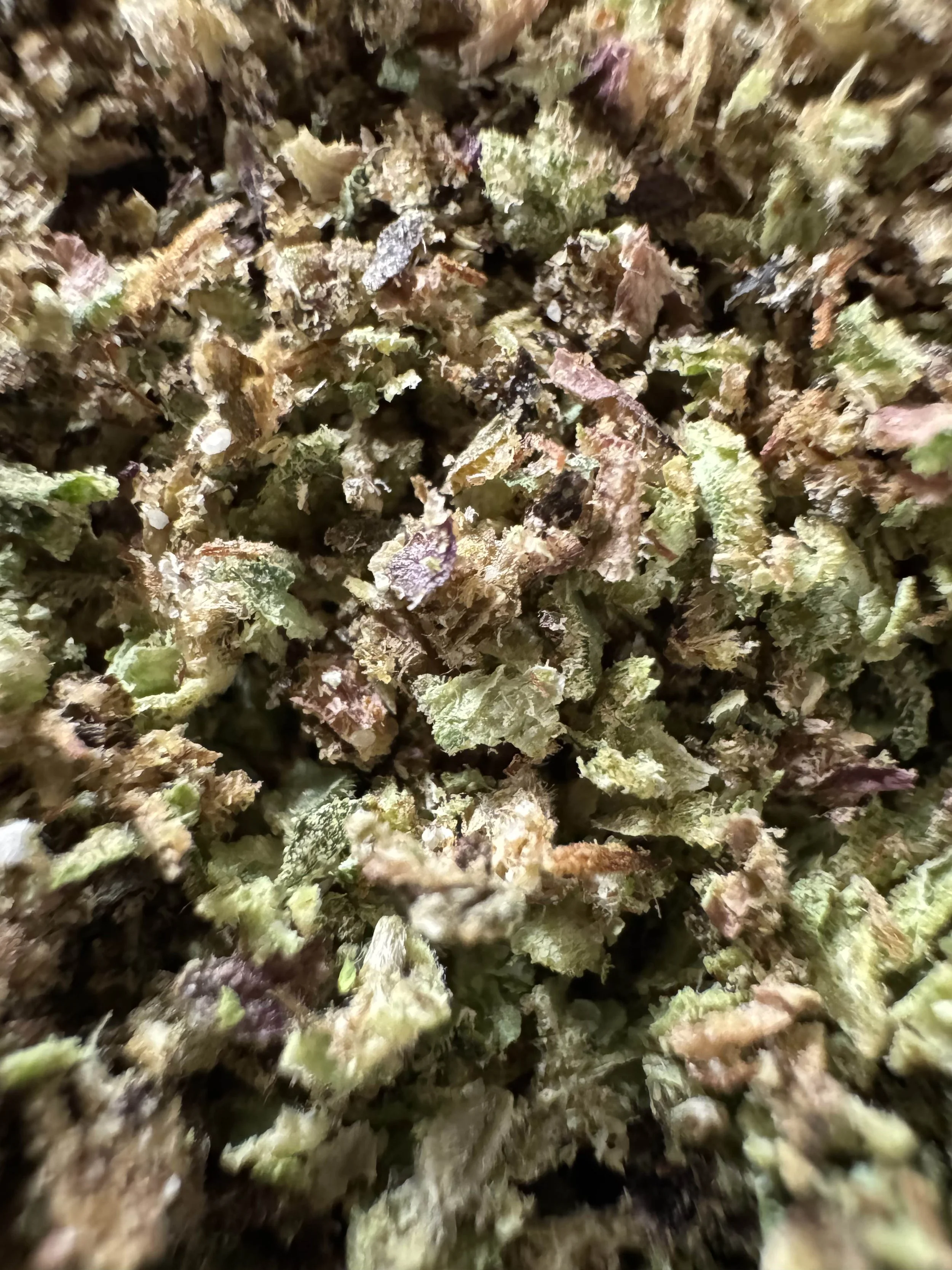 Cannabinoids: How and Why We Get High