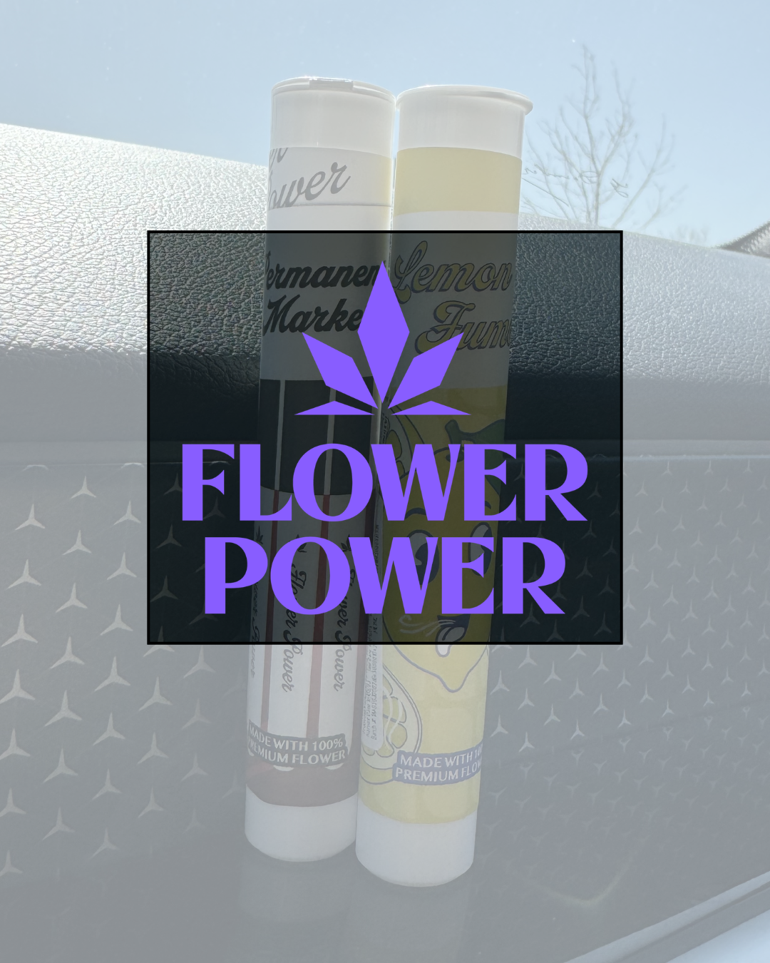 Why Terpenes Matter, with Flower Power
