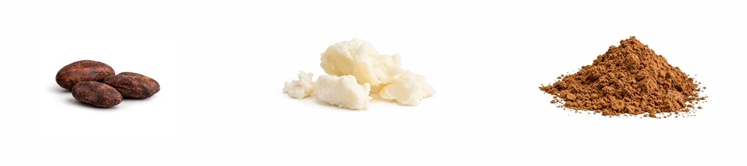 Natural cocoa beans, coconut oil, and cocoa powder