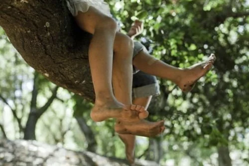 Painting with Natural Materials