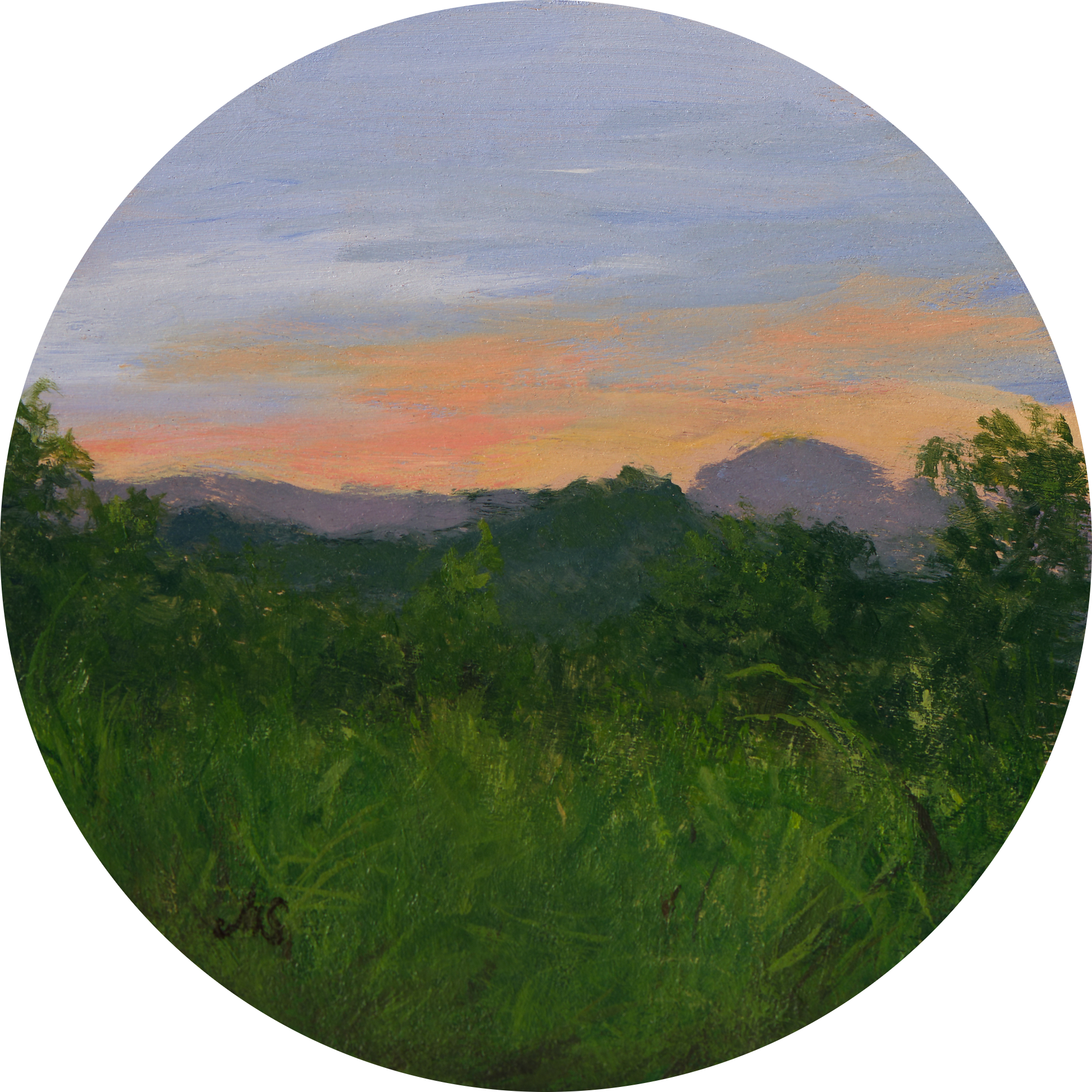 The Fading Light: Amber