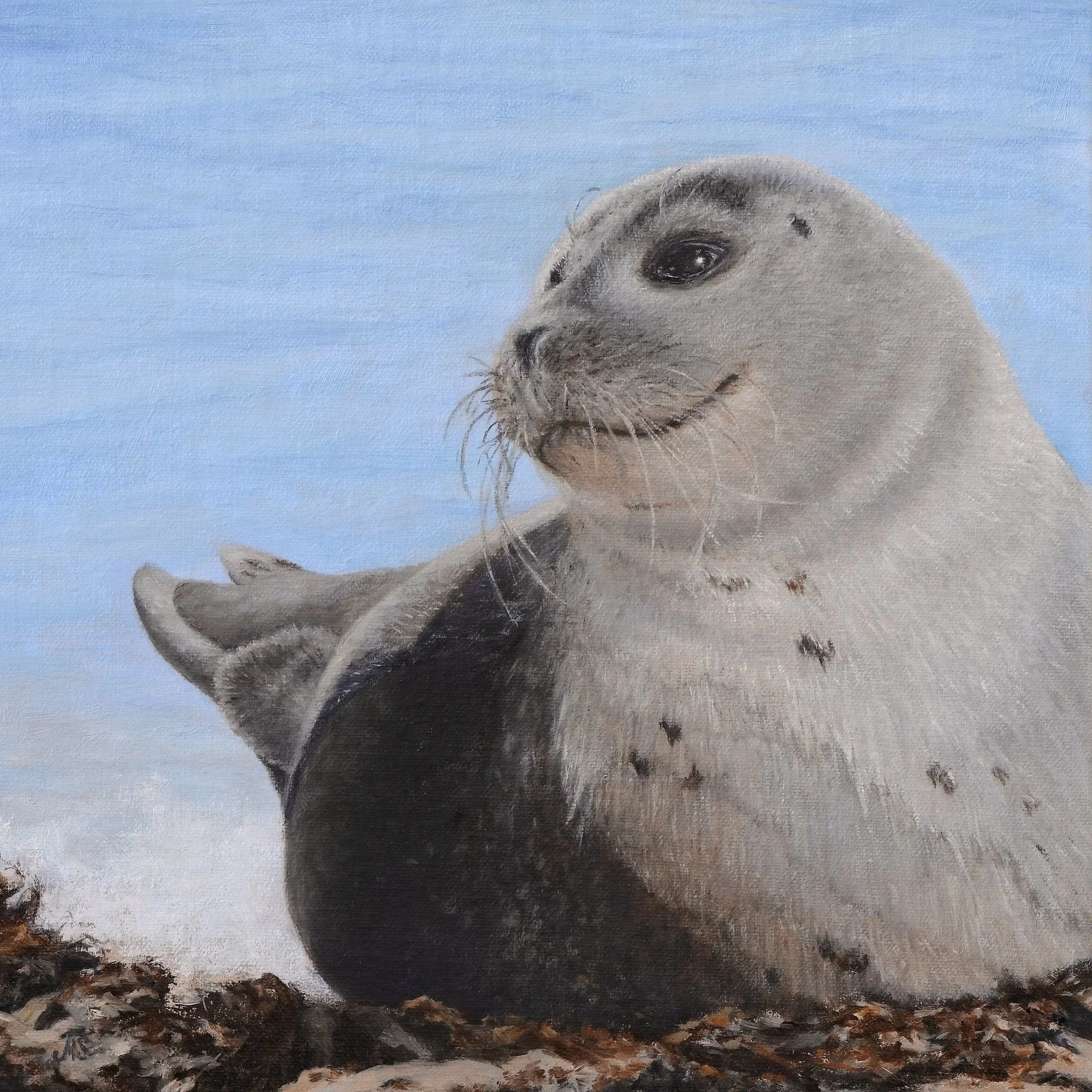 Smiling+Seal_Web.jpg