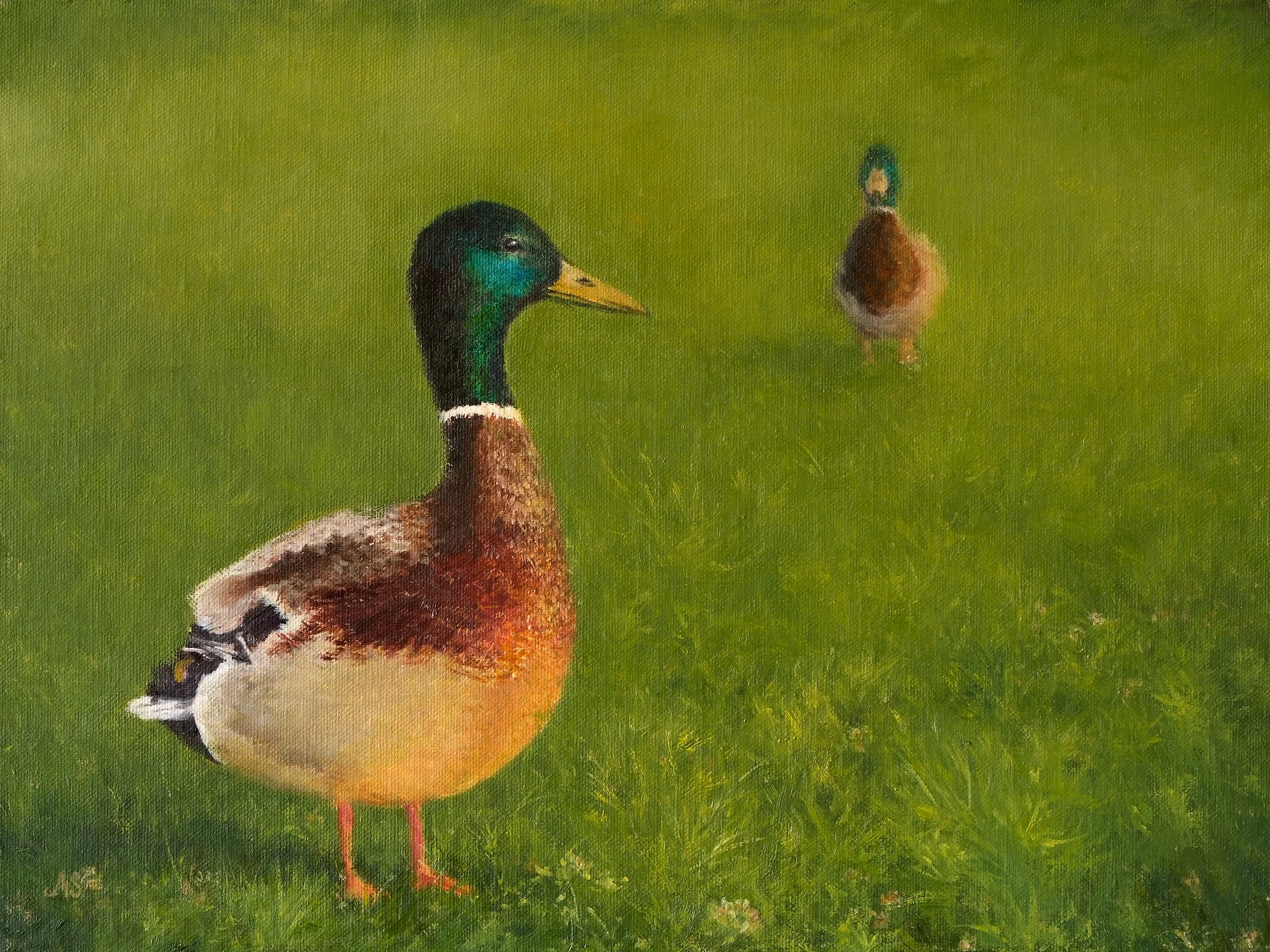 Ducks_In_The_Grass_Web.jpg