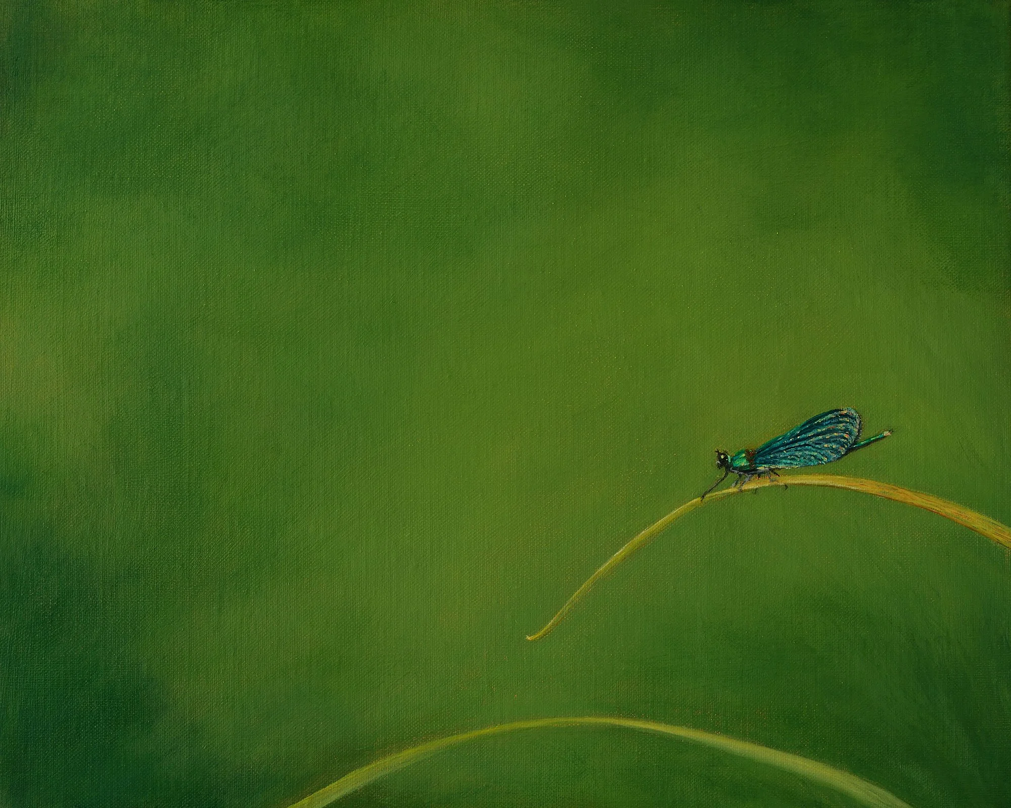 The Beautiful Demoiselle