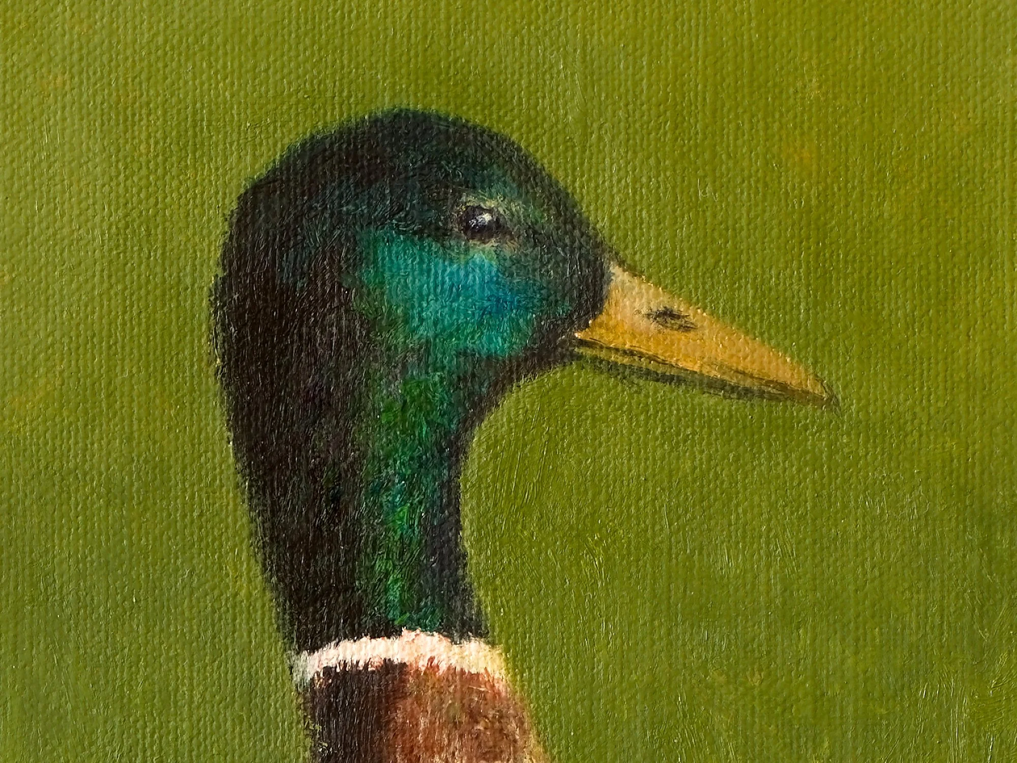Ducks_In_The_Grass_Details_Head_Web.jpg