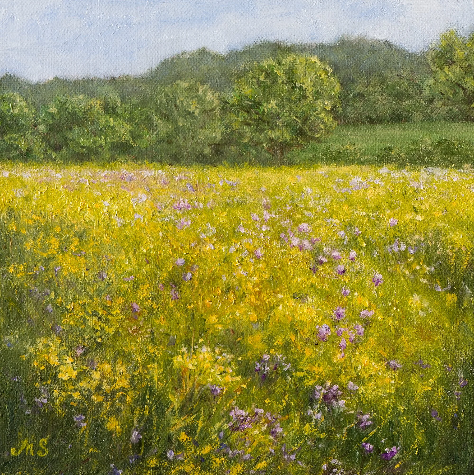 Where the Wildflowers Grow