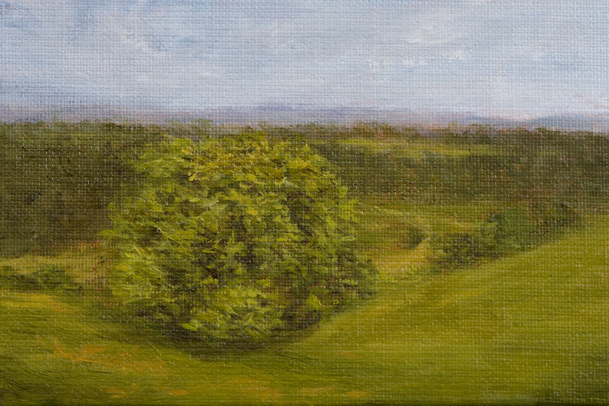 Hölstein Meadow