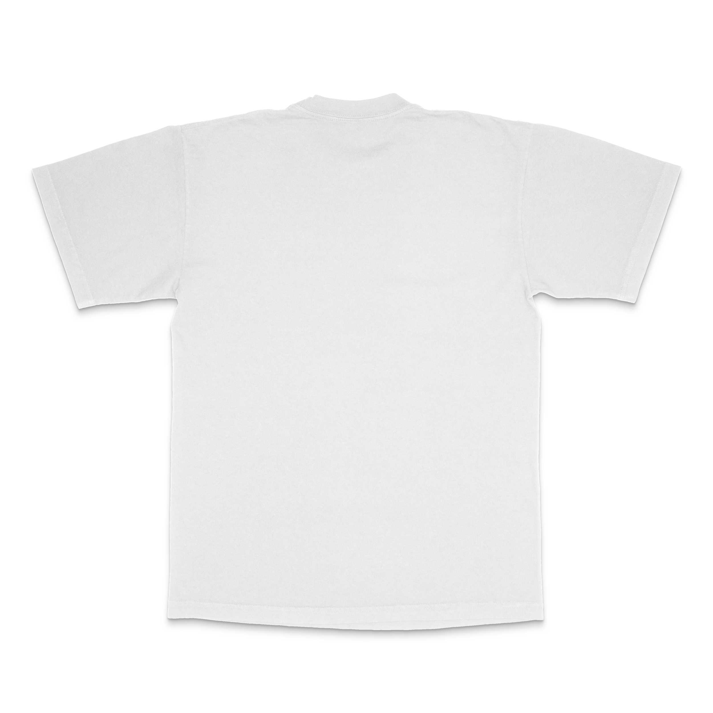 PaisleyWhiteBack.png