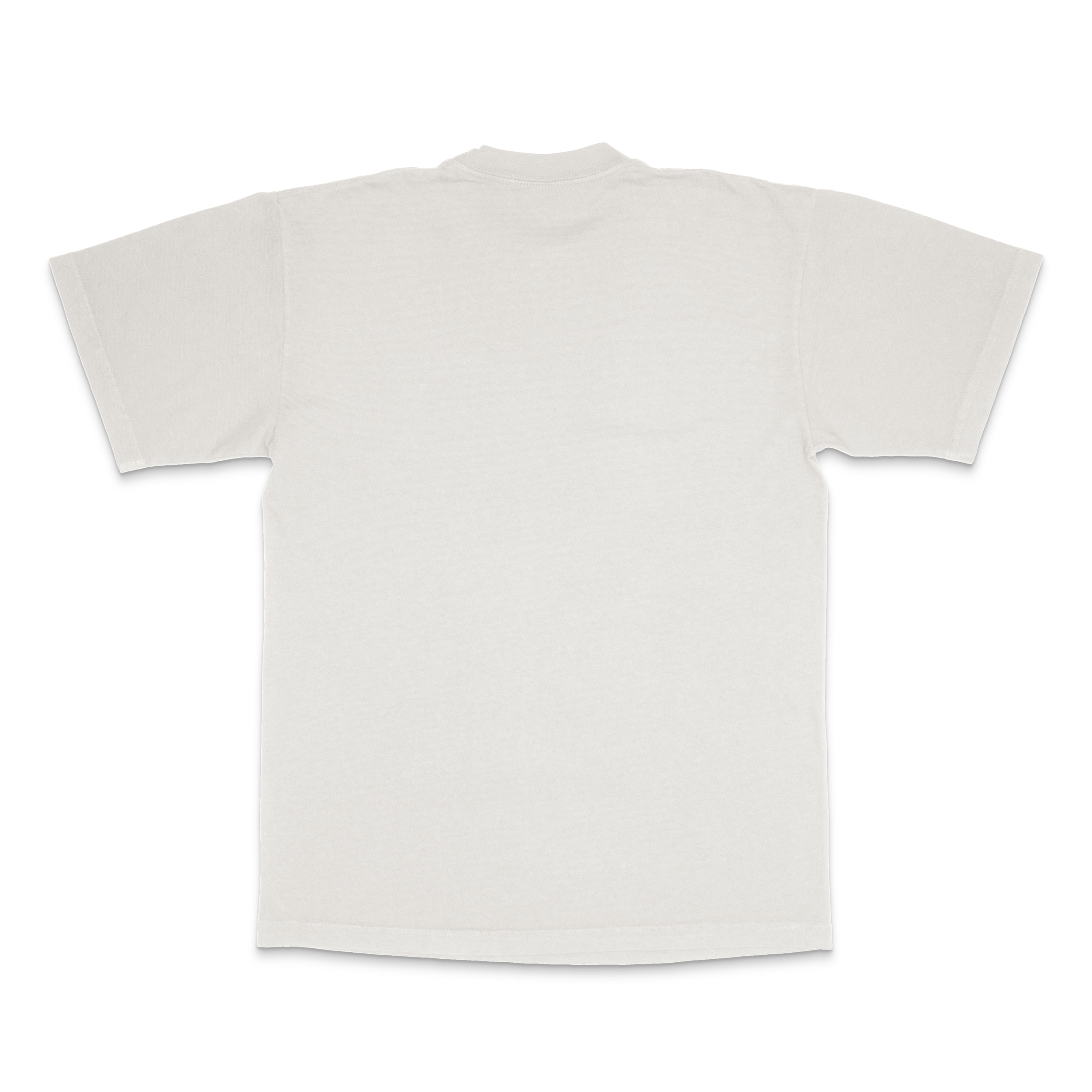 ClassicLogoTeeBack copy.png