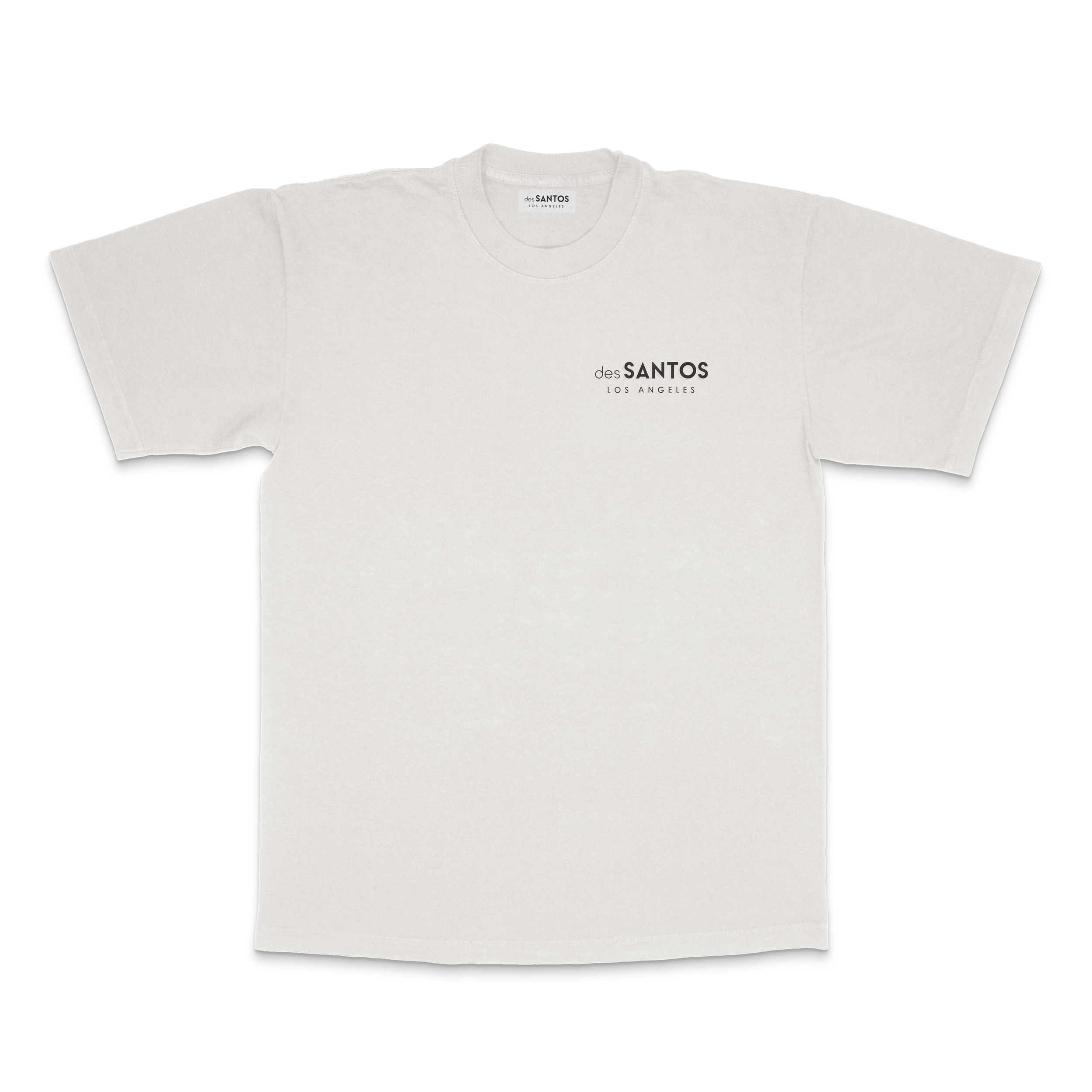 ClassicLogoTeeFront copy.png