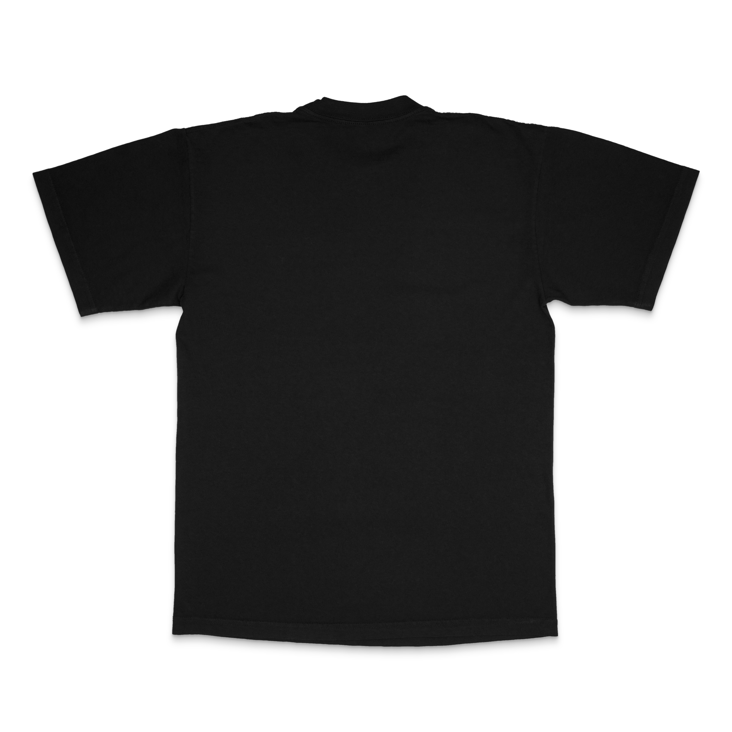 PaisleyBlackBack.png (Copy)