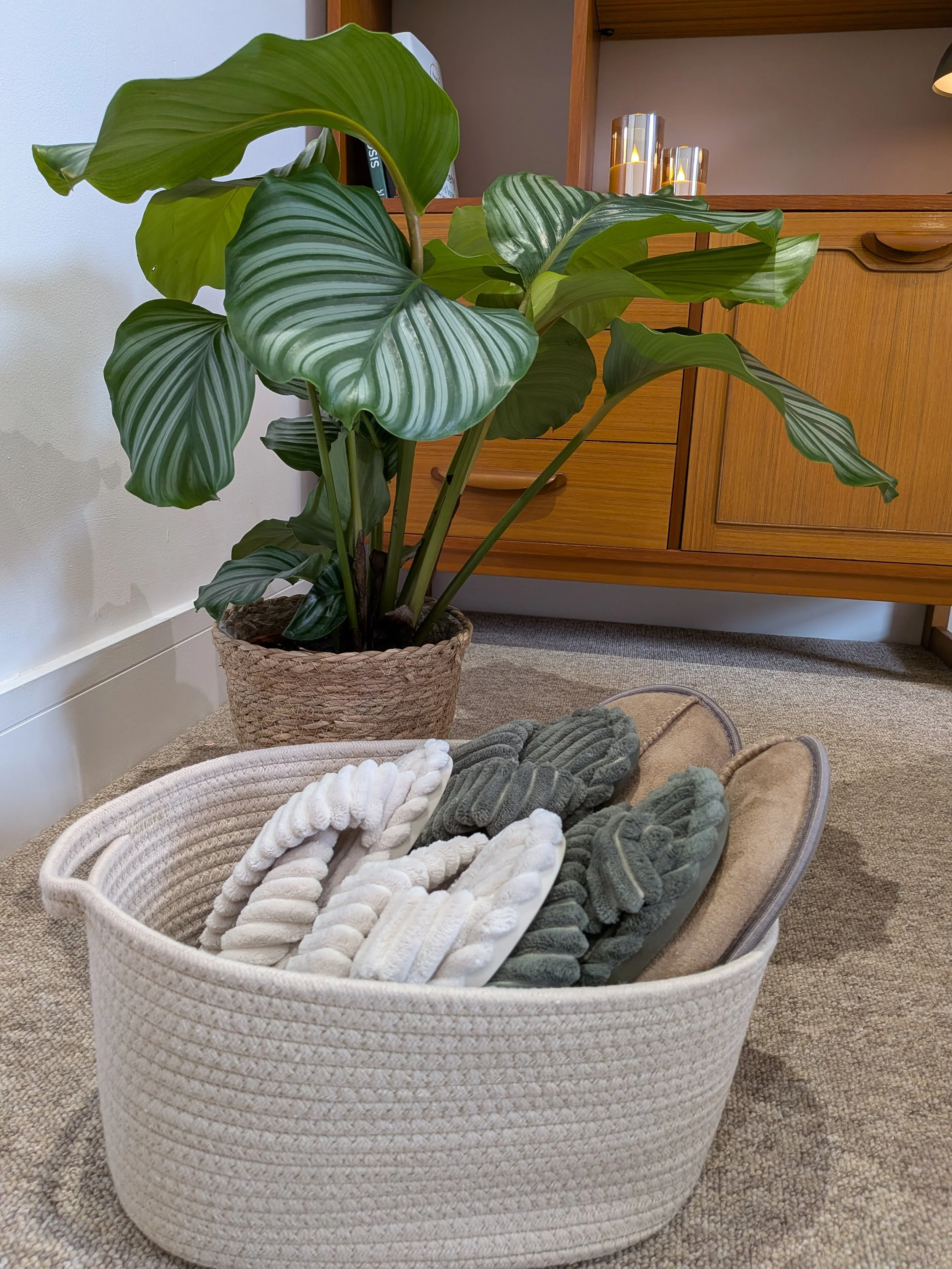 A basket filled with gray and white knit socks sitting on a beige carpet, with a large green leafy houseplant in a woven basket behind it, and a wooden cabinet with candles on top in the background.