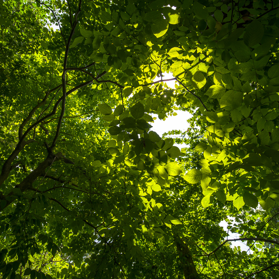 Adam Cleveland for Georgia State House District 48