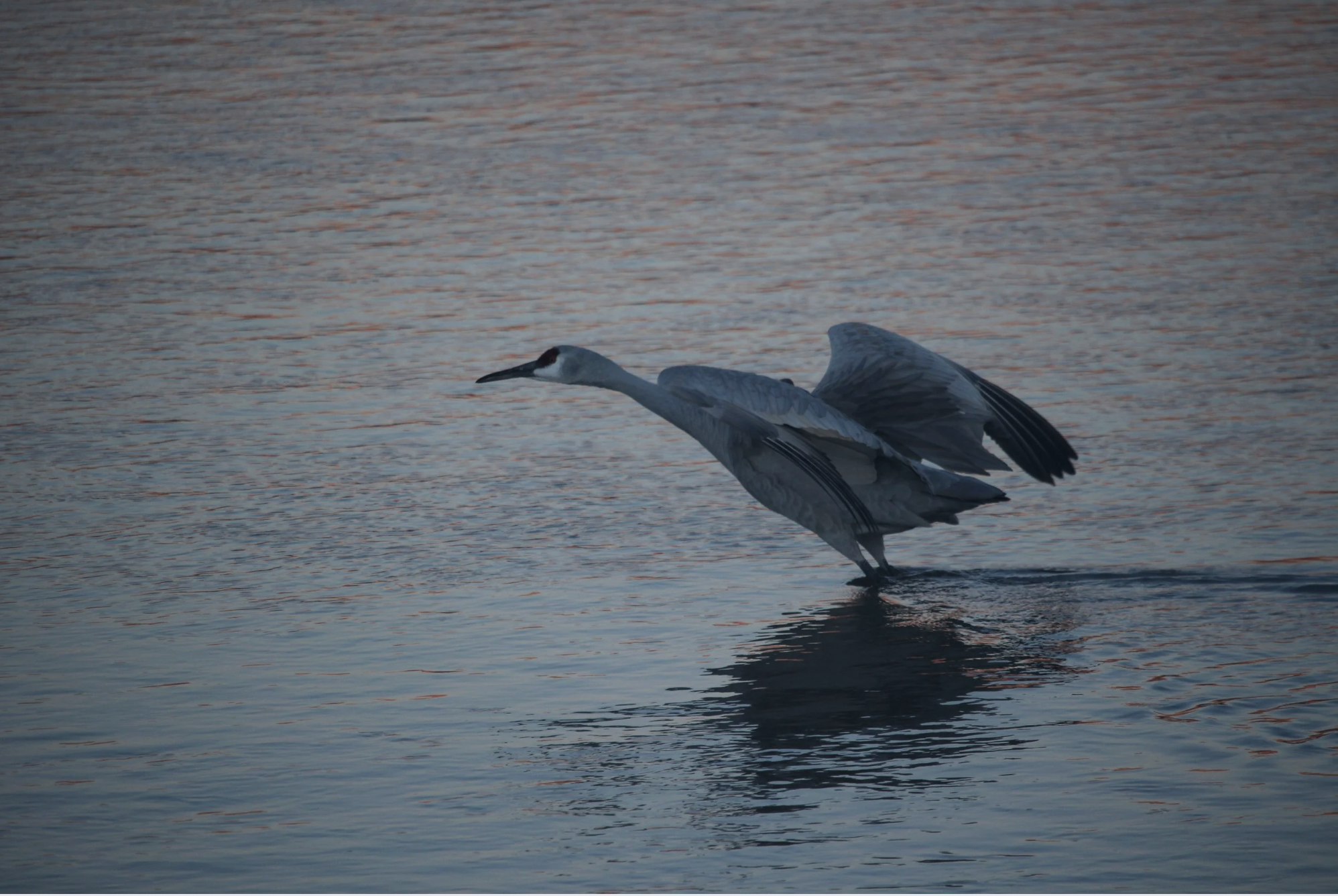 Will New Mexico’s Rivers Get a Cut of the Budget in 2026?