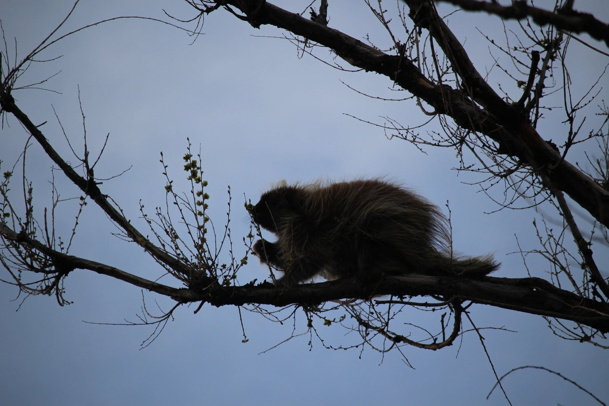 “What can we do?” (A lot.)