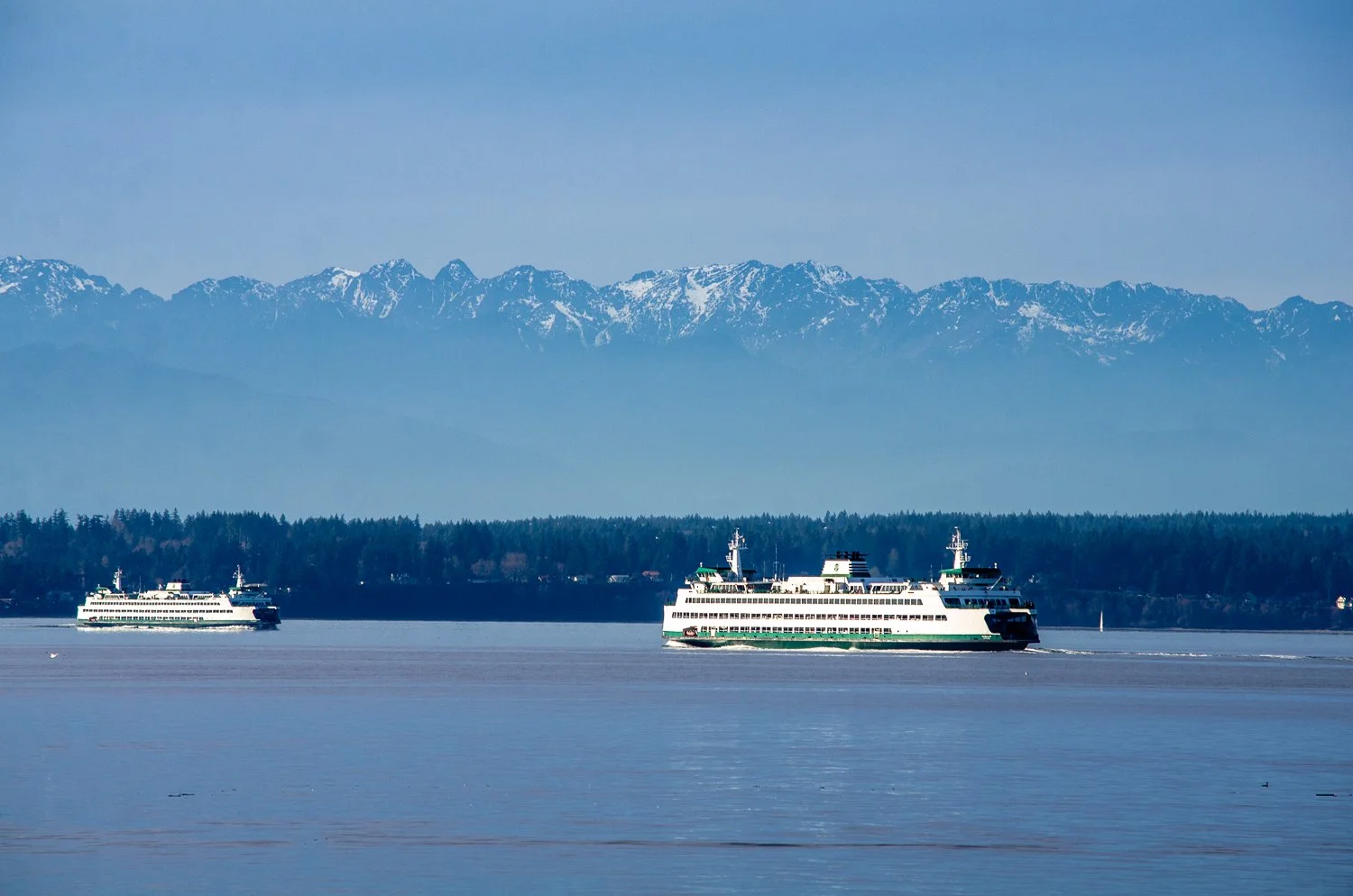 Two large passenger ferries sailing on calm water near a forested shoreline with snow-capped mountains in the background.